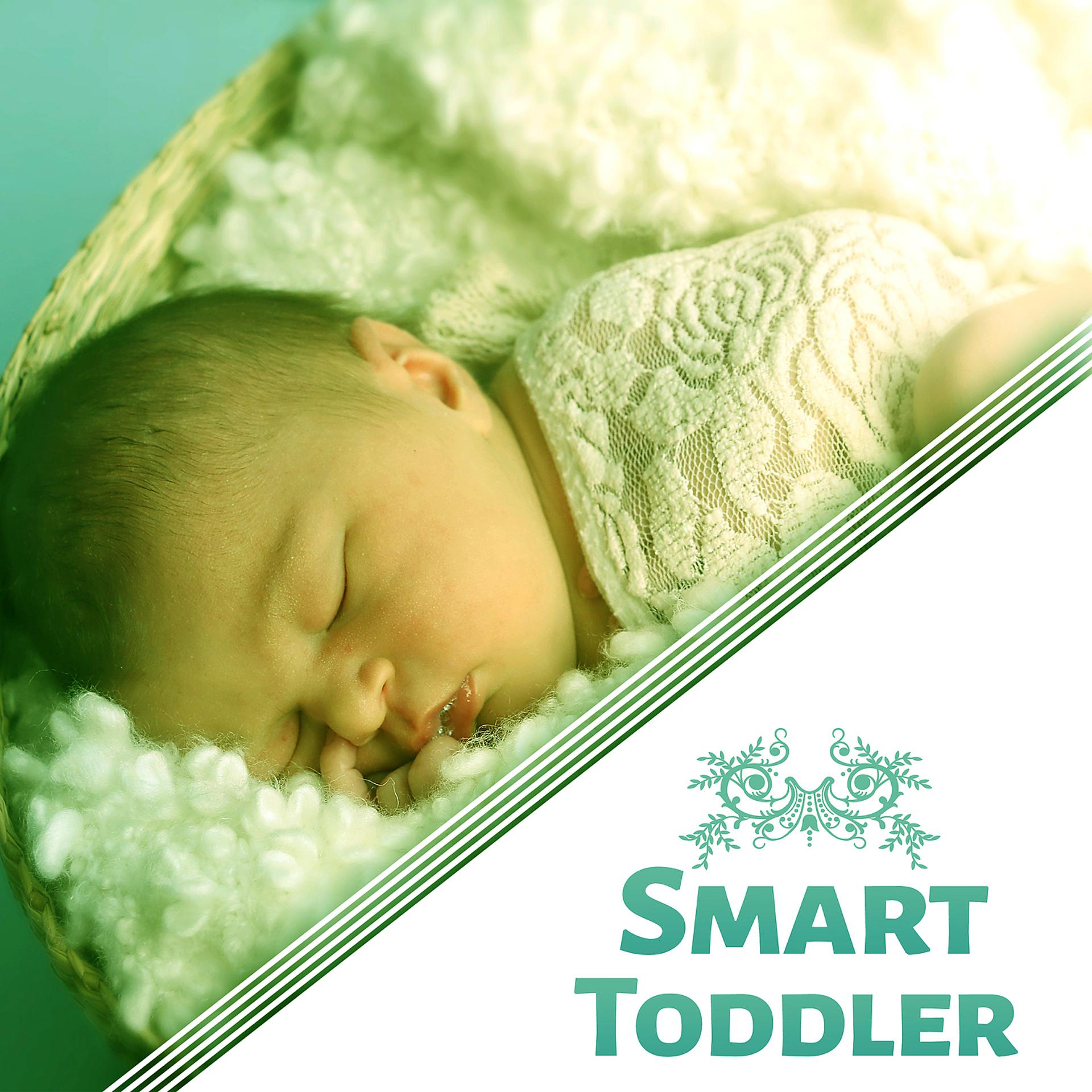 Постер альбома Smart Toddler – Baby Music, Einstein Effect, Evolution Child