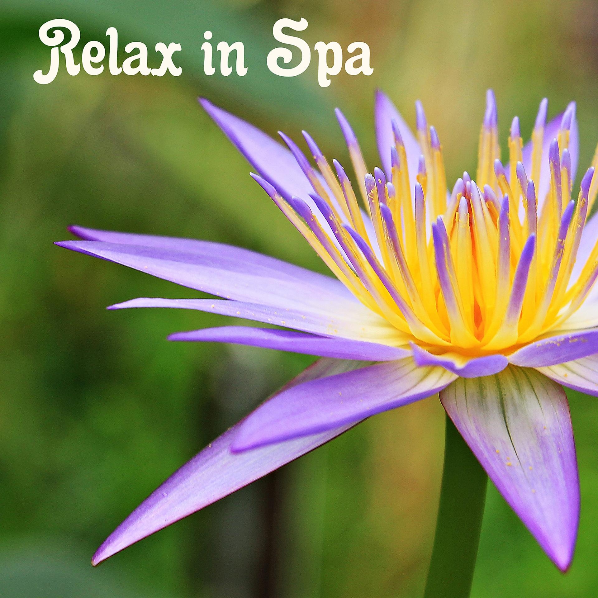 Постер альбома Relax in Spa – Nice Music, Good Massage, Sounds of Nature, Help from Nature, Stretching and Exercise