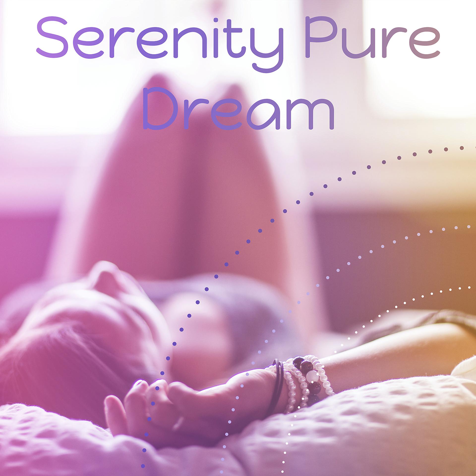 Постер альбома Serenity Pure Dream – Oasis Sleep, Sleep Time, Ambient Music, Relaxing Night