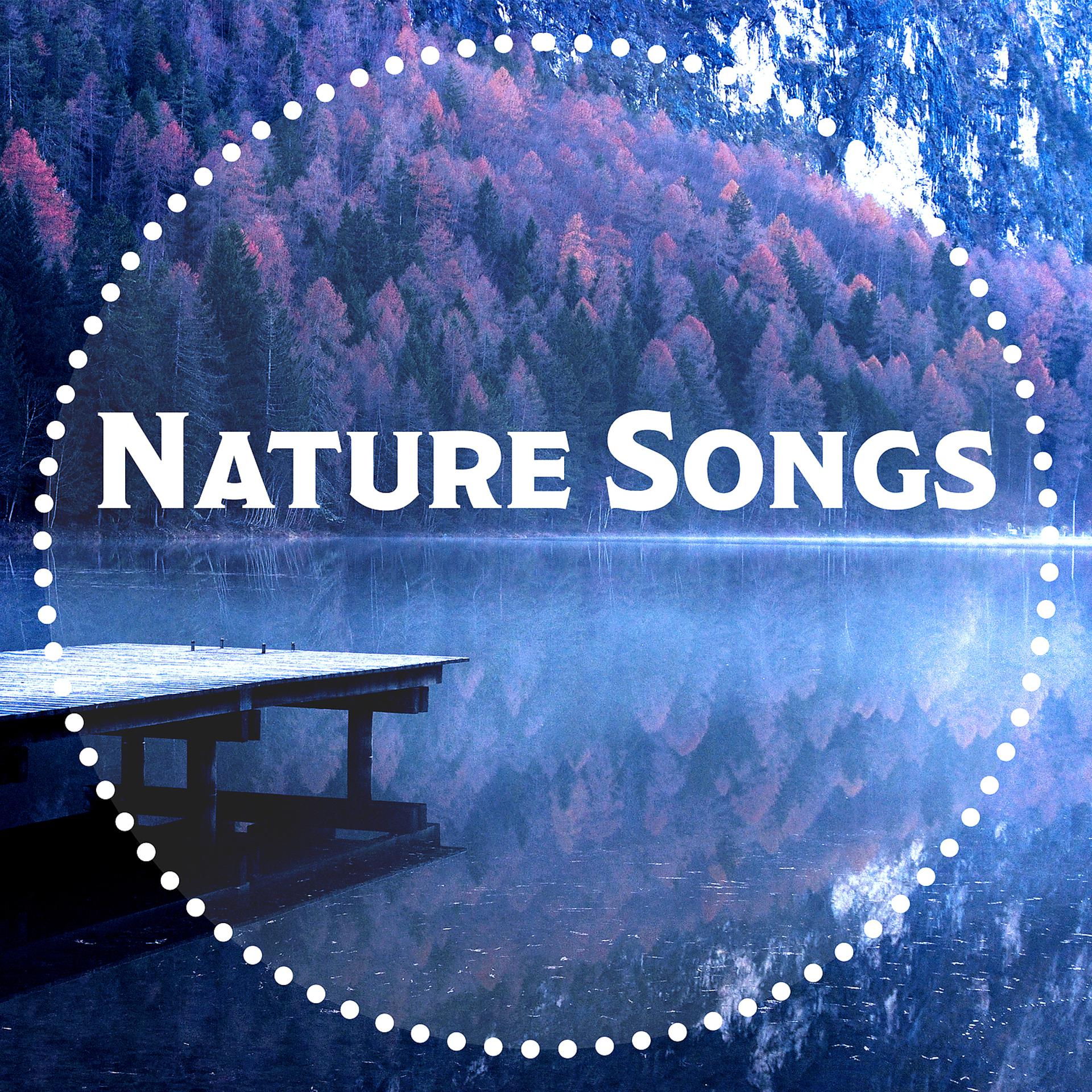 Постер альбома Nature Songs – New Age Music, Nature Sounds for Relaxation, Meditation, Yoga Practice, Inner Harmony, Be Mindful