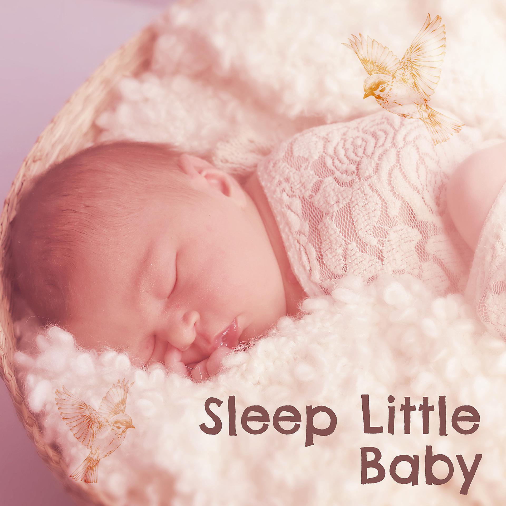 Постер альбома Sleep Little Baby