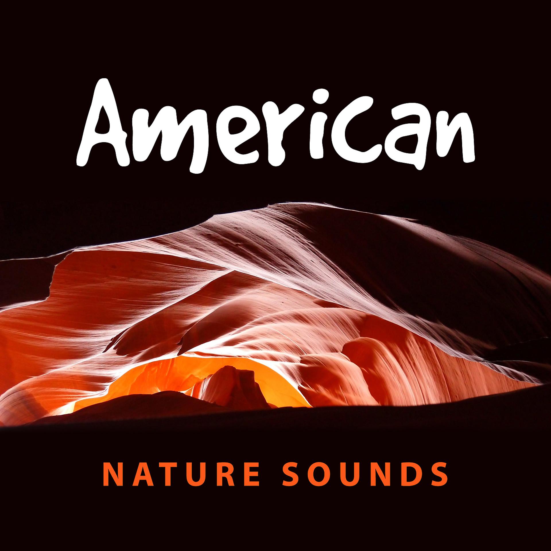 Постер альбома American Nature Sounds – Native American Flute, Peaceful Music, Calm Music for Relax, Deep Sounds for Meditation