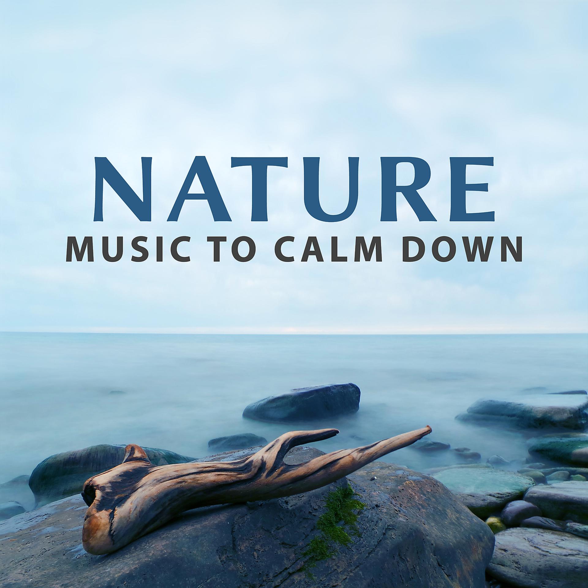 Постер альбома Nature Music to Calm Down – Relax with Water Sounds, Sea Waves, New Age Lounge, Stress Relief