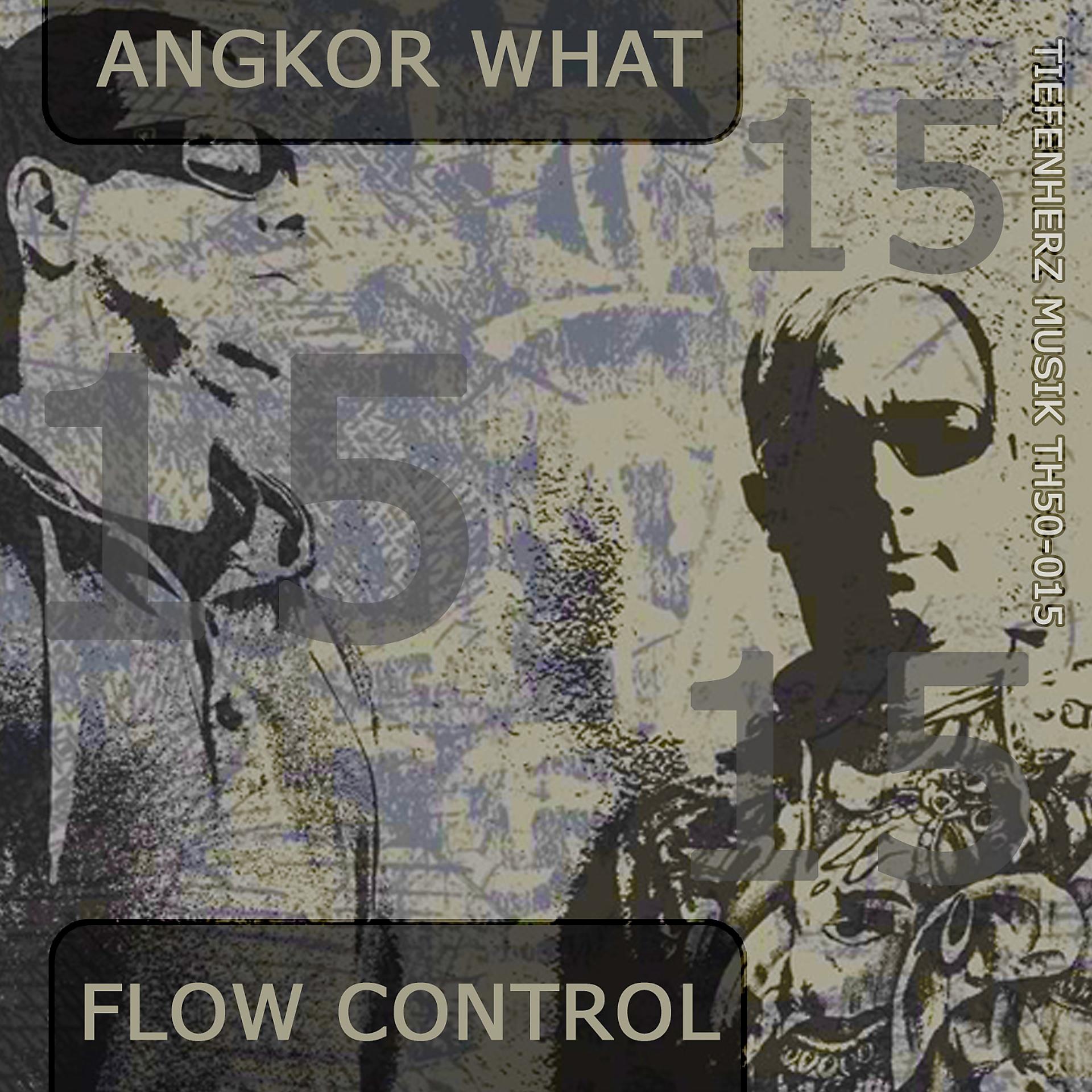 Постер альбома Flow Control