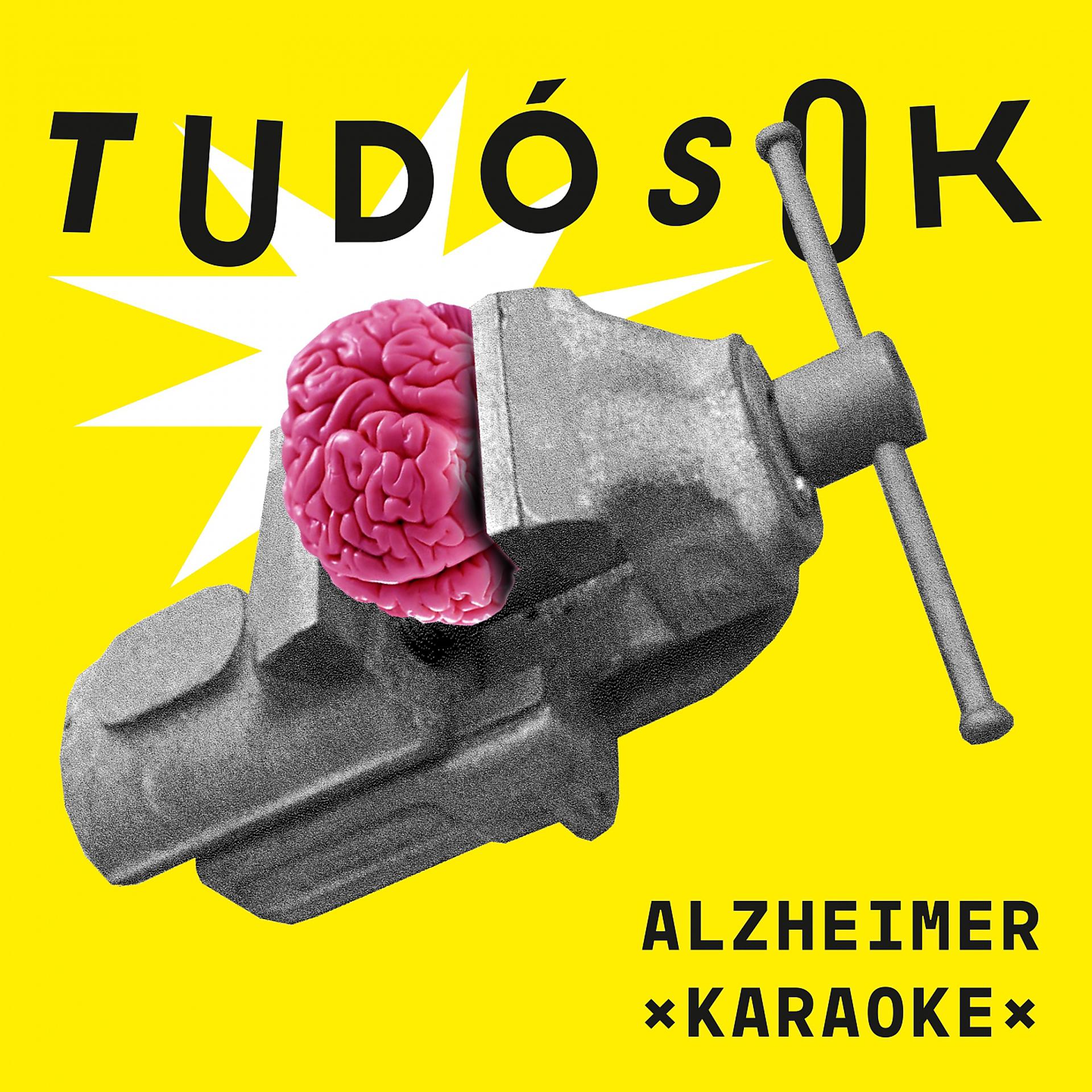 Постер альбома Alzheimer Karaoke