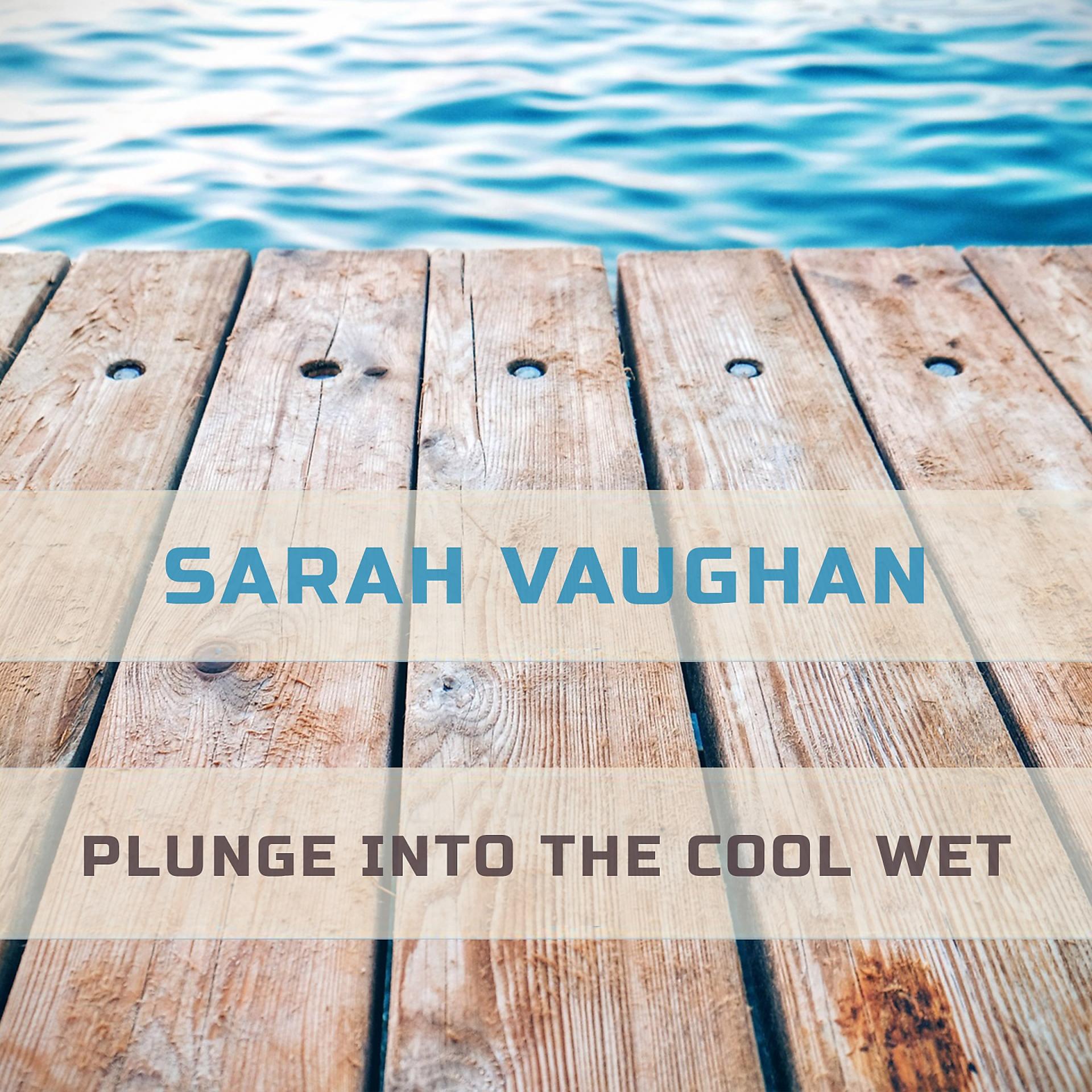 Постер альбома Plunge Into The Cool Wet