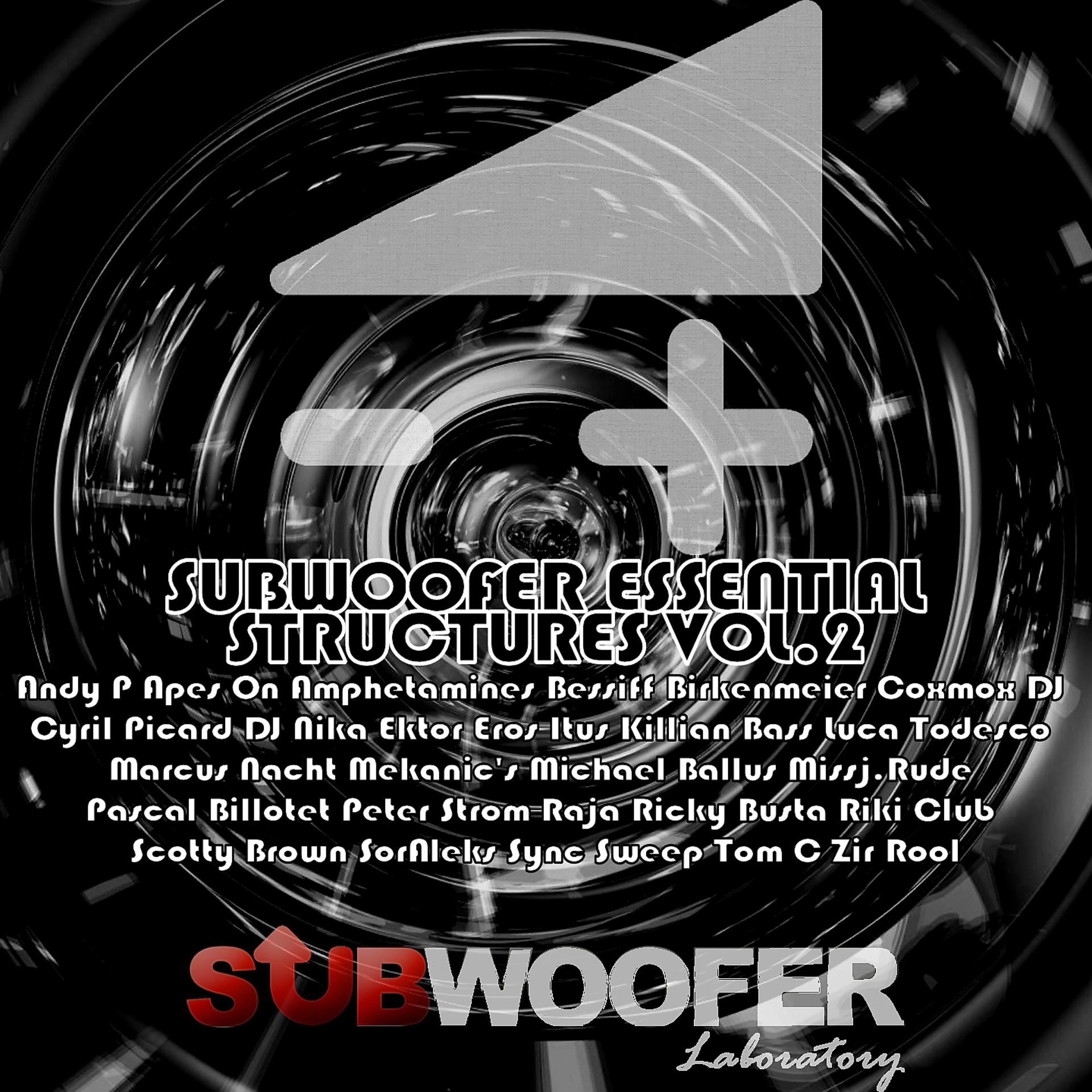 Постер альбома Subwoofer Essential Structures, Vol. 2