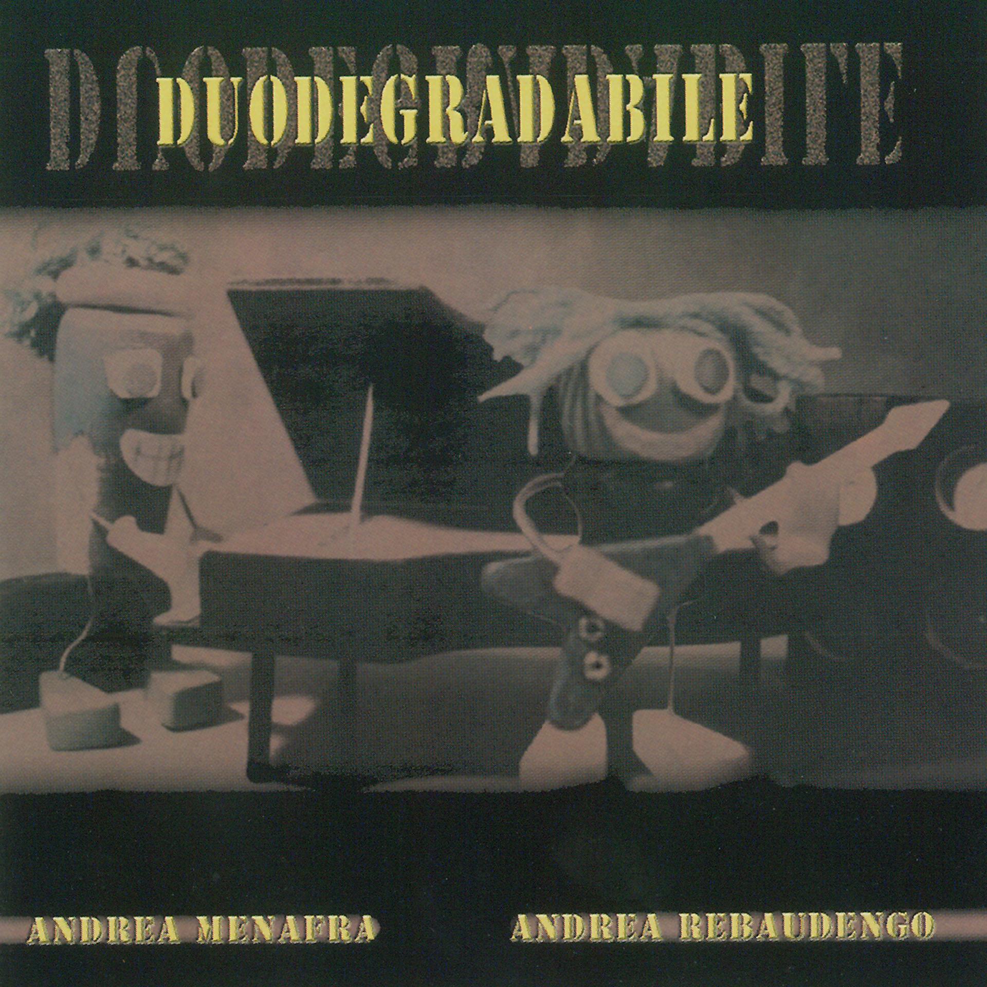 Постер альбома Duodegradabile