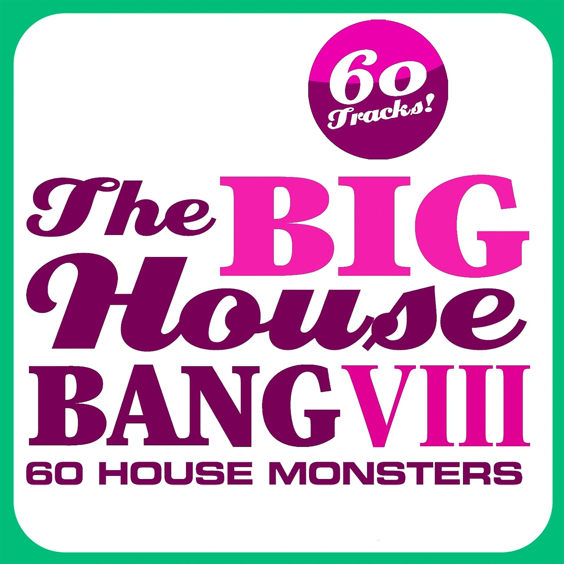 Постер альбома THE BIG HOUSE BANG!, Vol. 8 - 60 House Monsters