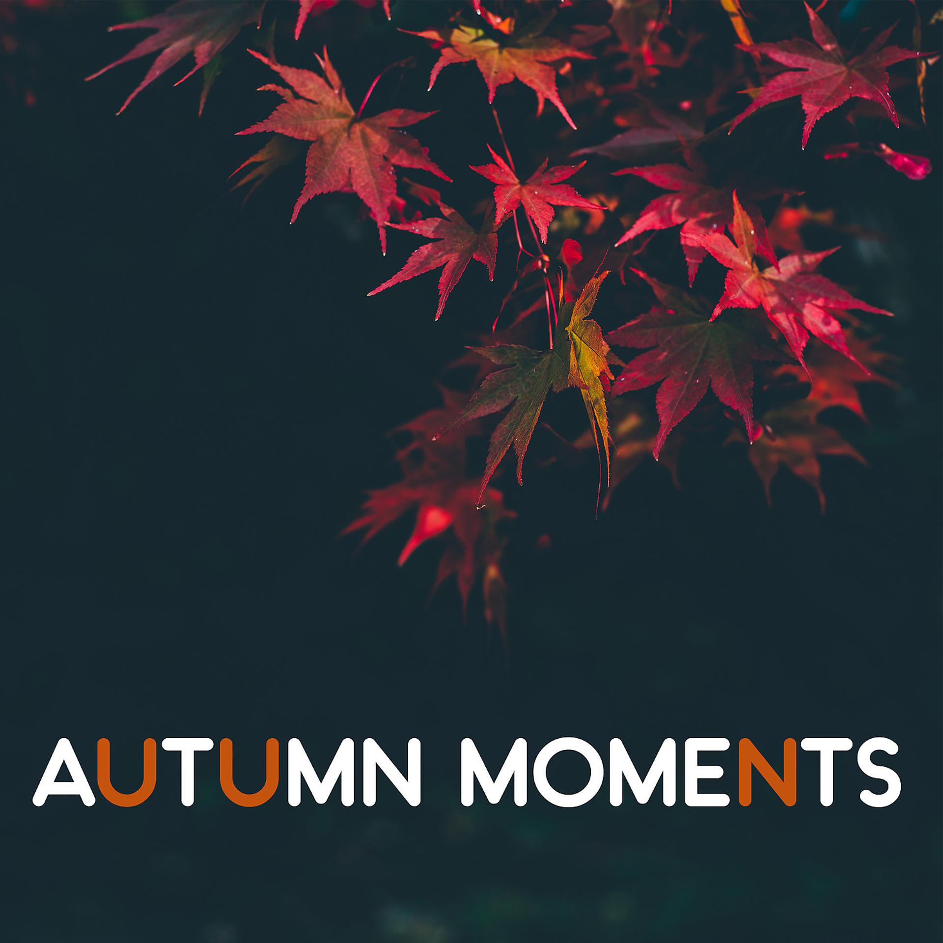 Постер альбома Autumn Moments - Shades of Yellows, Falling Leaves, Warm Wind, Moments of Reflection, Shorter Day, Rest of Fireplace with Win, Romantic Evening