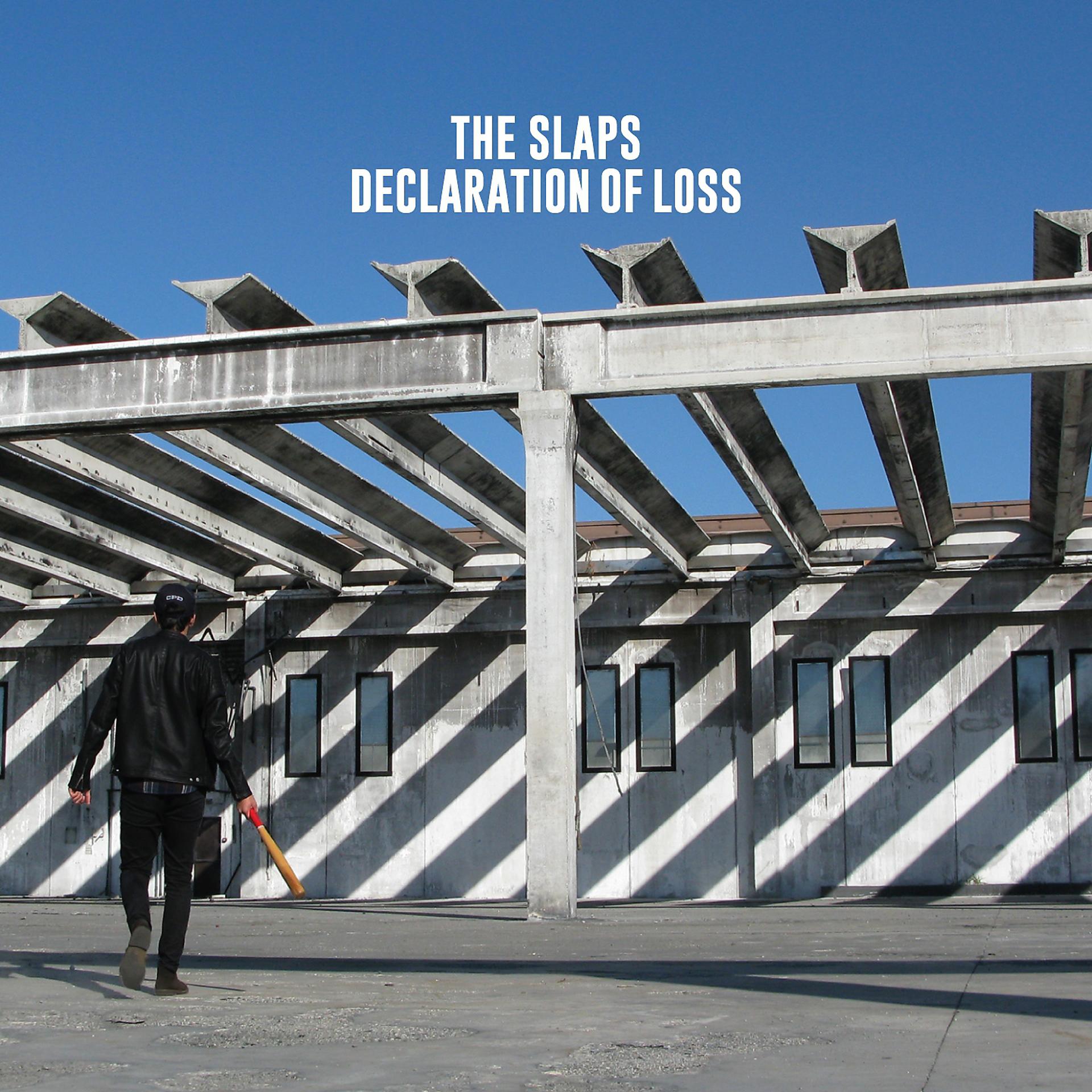 Постер альбома Declaration of Loss