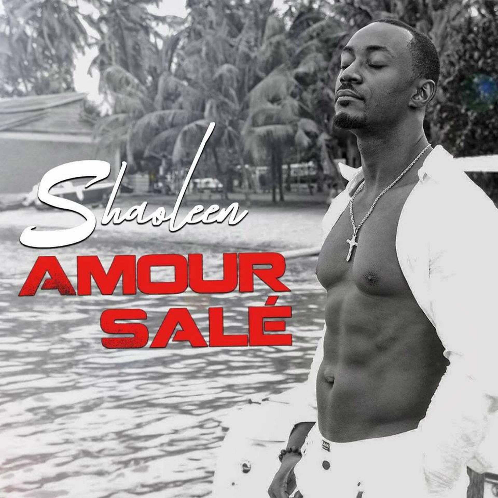 Постер альбома Amour salé