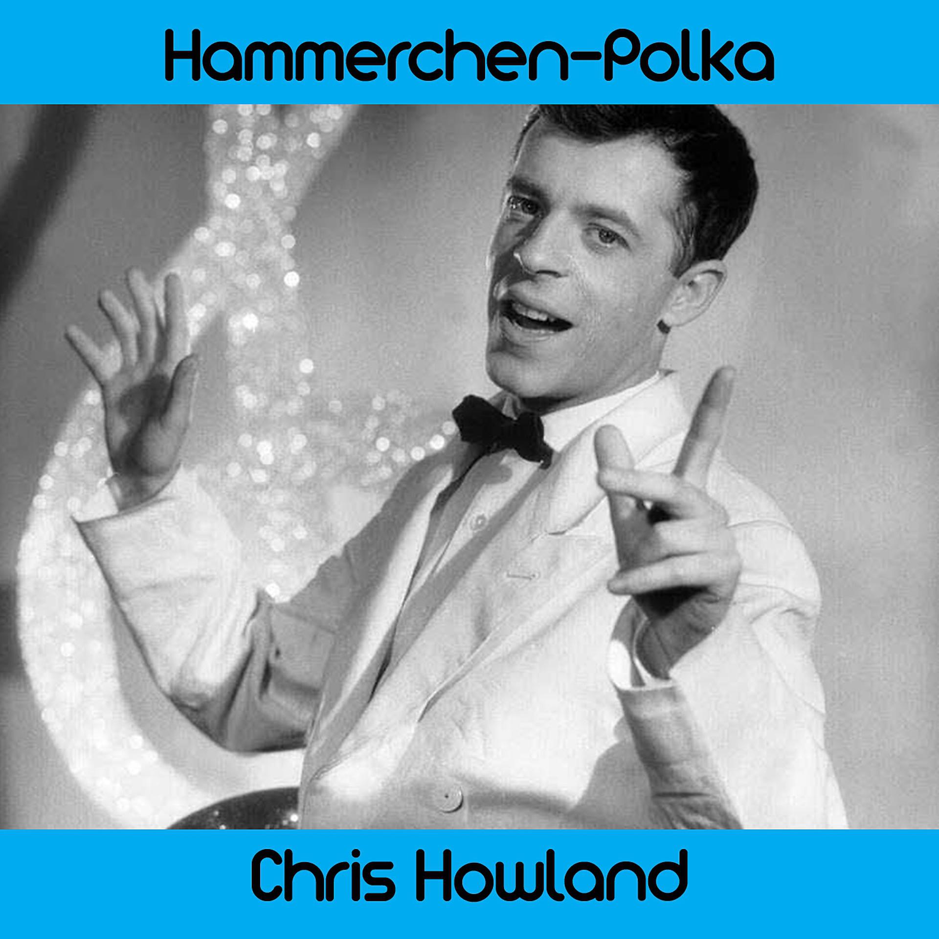 Постер альбома Hämmerchen-Polka