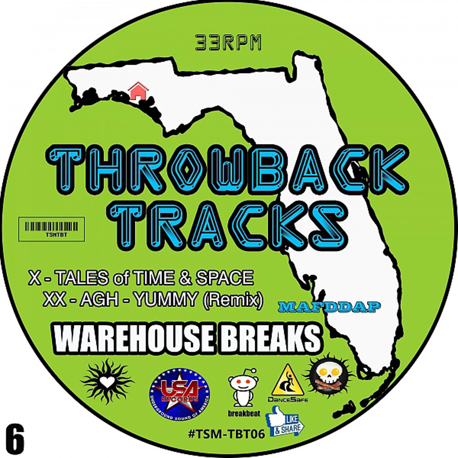Постер альбома Throwback Tracks: Warehouse Series, Vol. 6