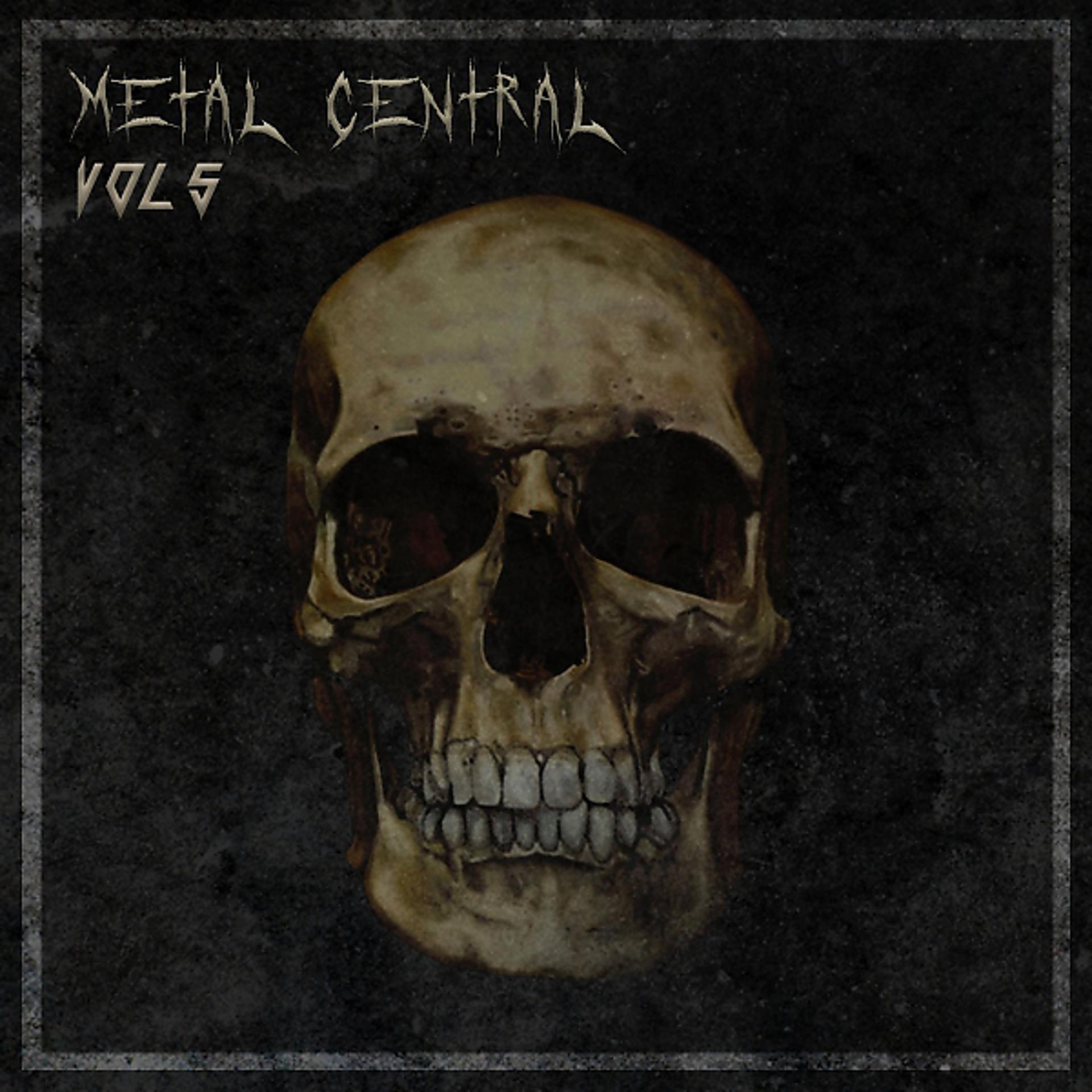 Постер альбома Metal Central, Vol. 5