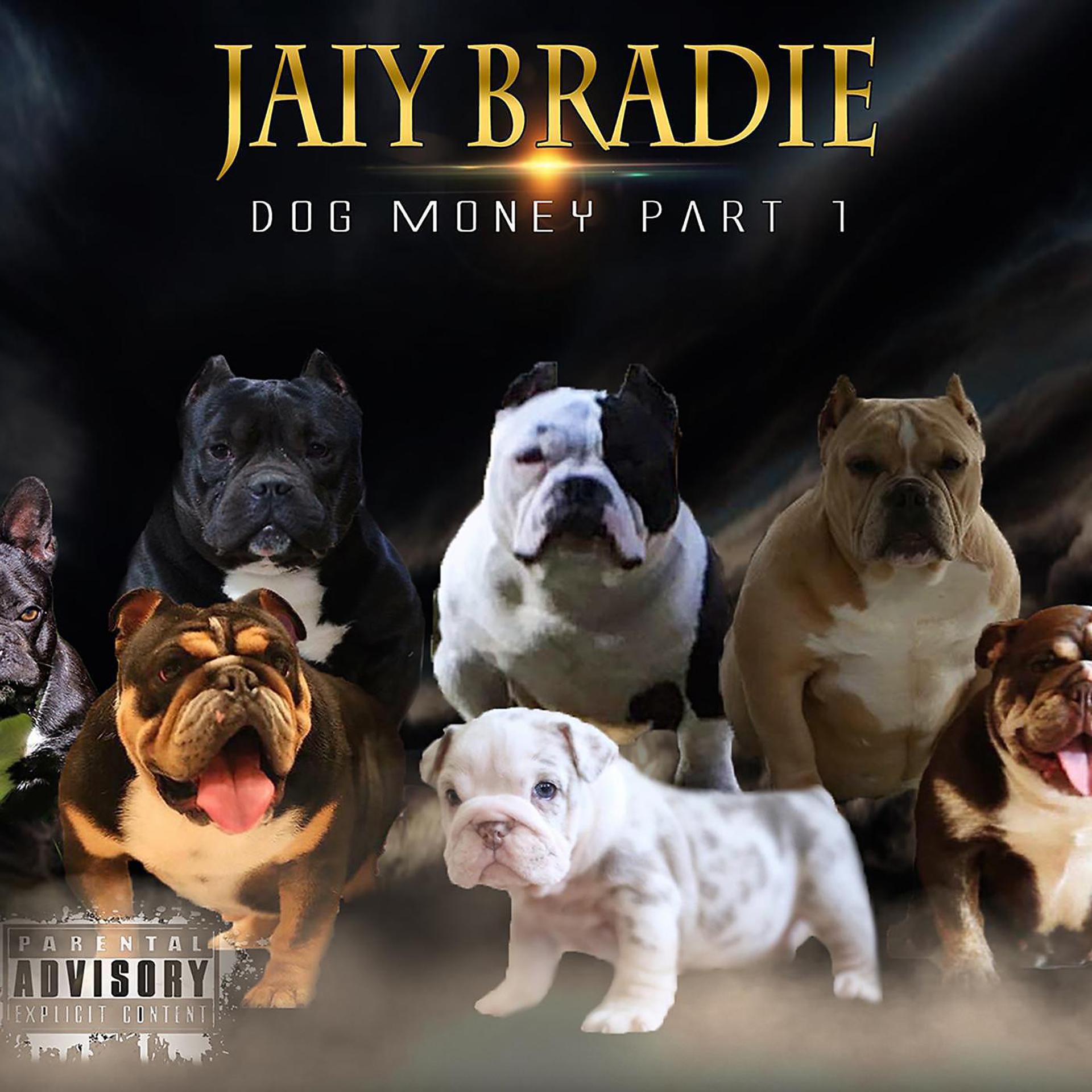 Постер альбома Dog Money