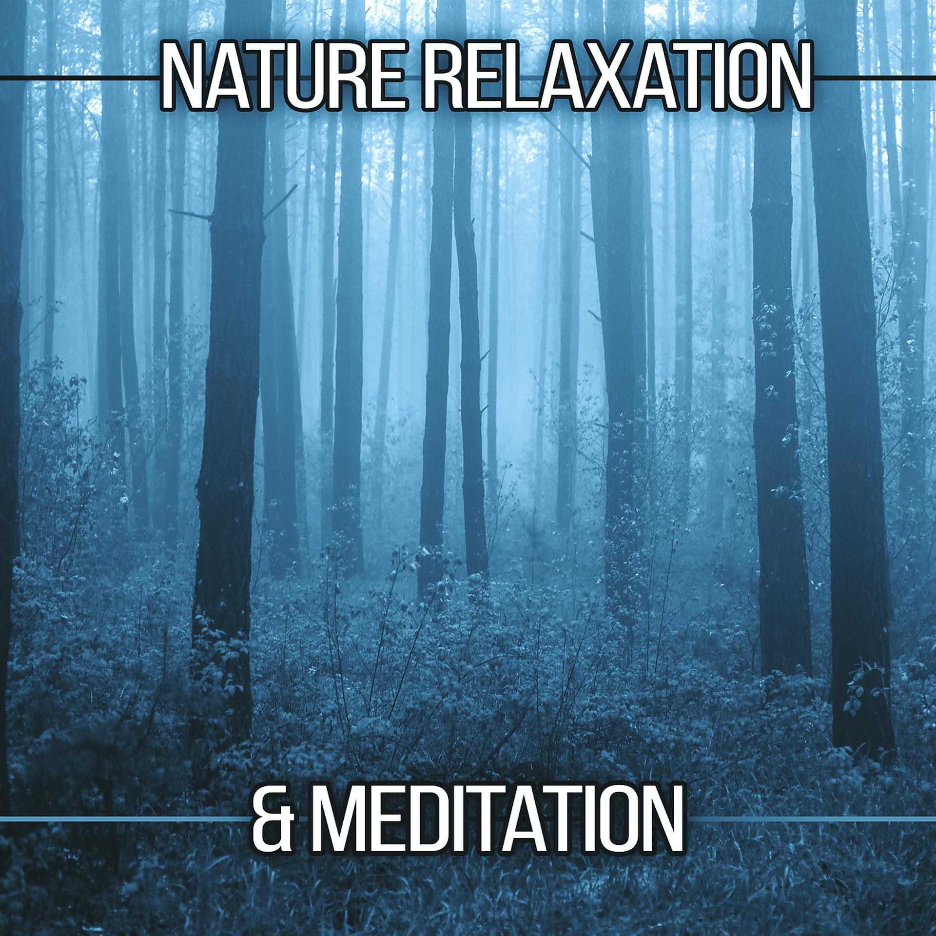 Постер альбома Nature Relaxation & Meditation – Soothing Sounds to Relax, Meditation Awareness, Nature Sounds to Calm Down