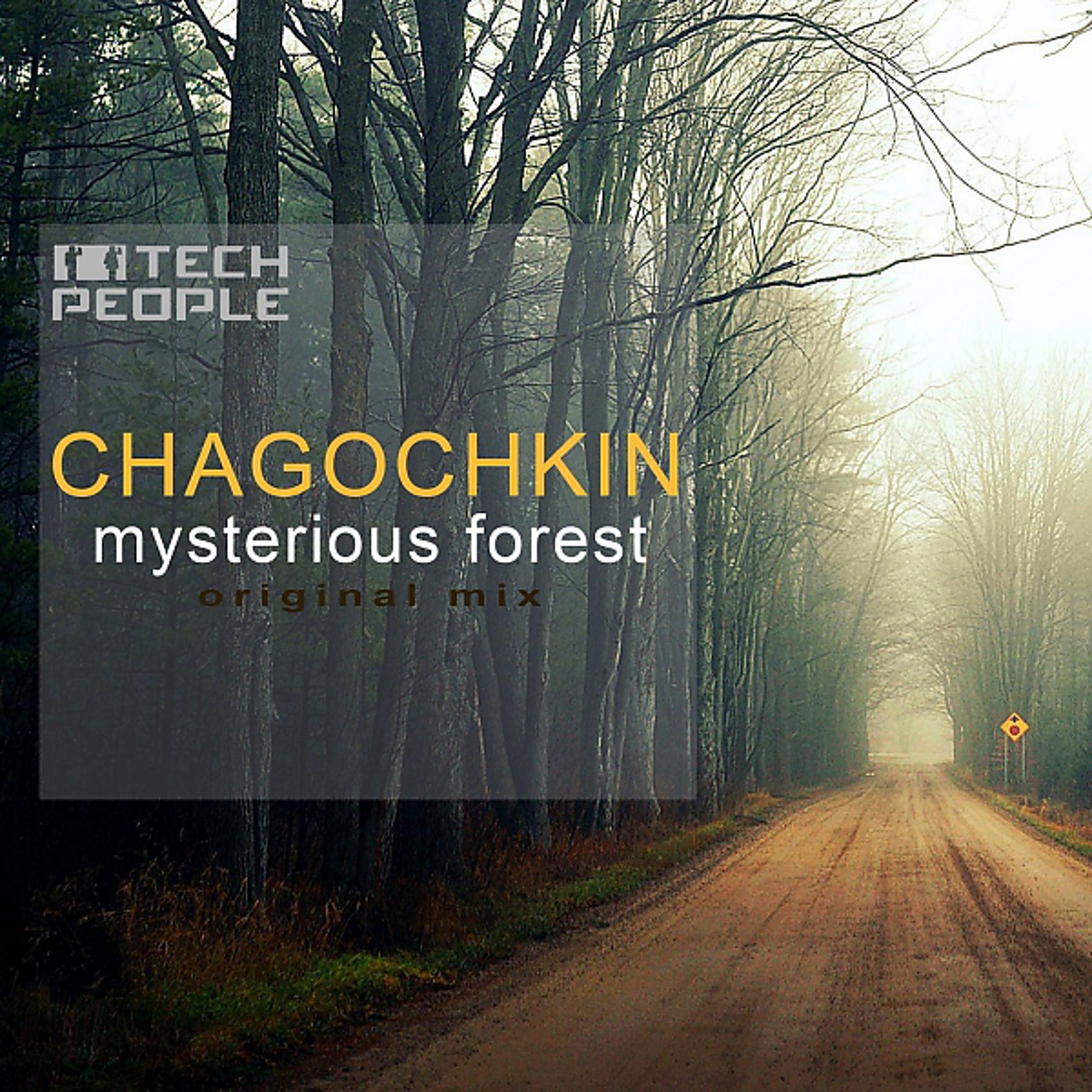 Постер альбома Mysterious Forest