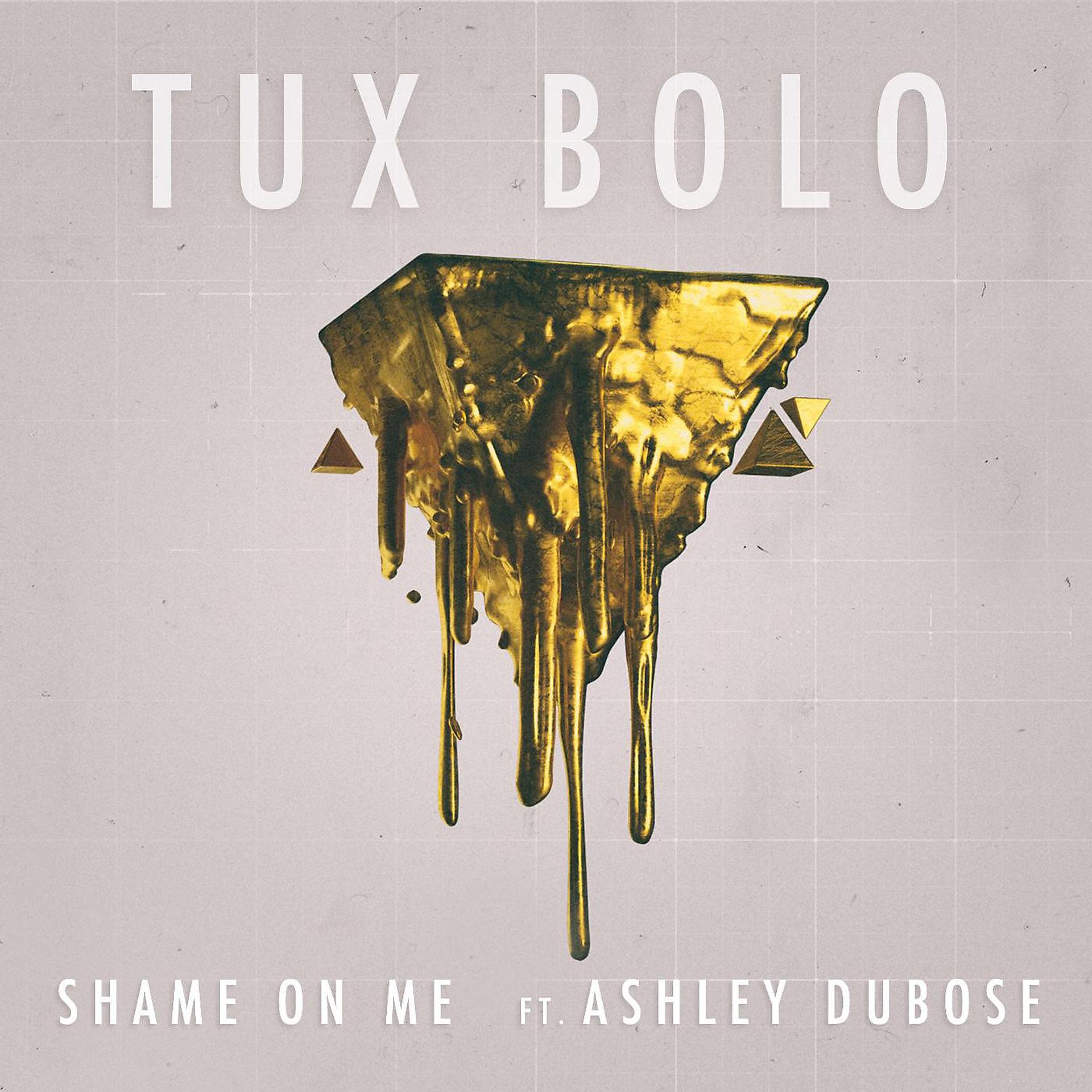 Постер альбома Shame on Me (feat. Ashley DuBose)