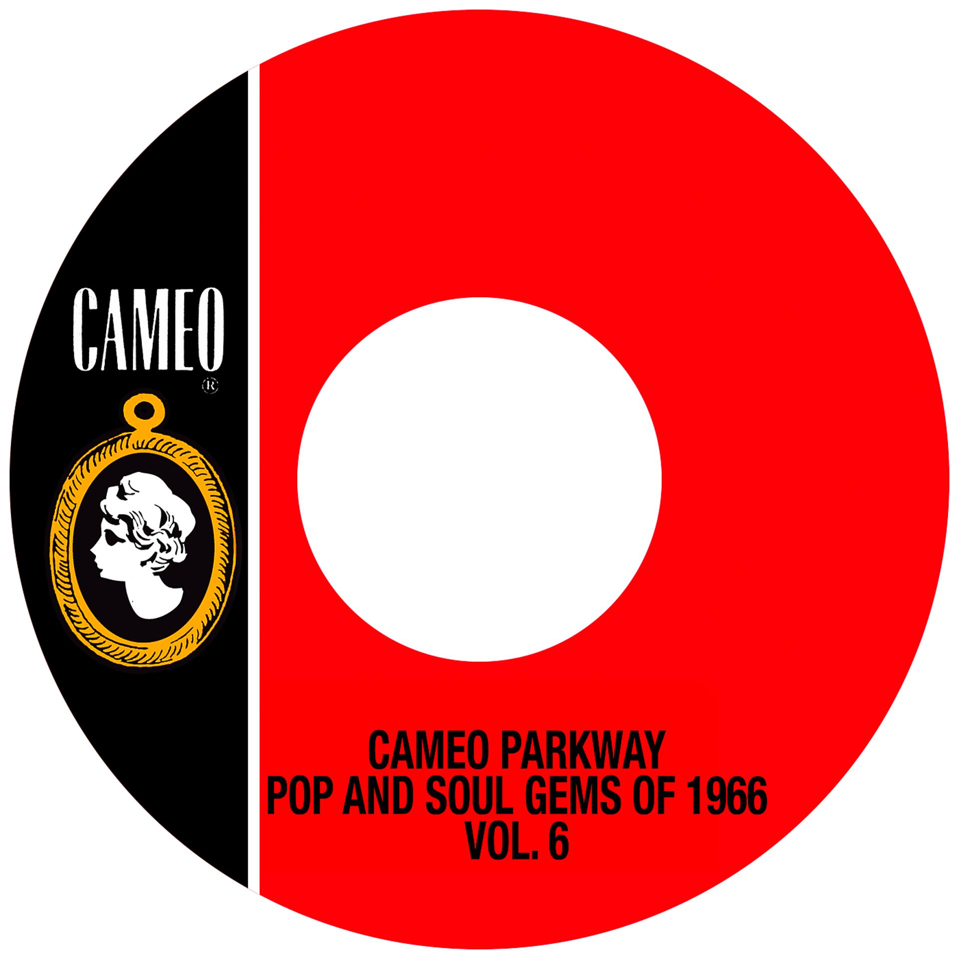 Постер альбома Cameo Parkway Pop And Soul Gems Of 1966 Vol. 6