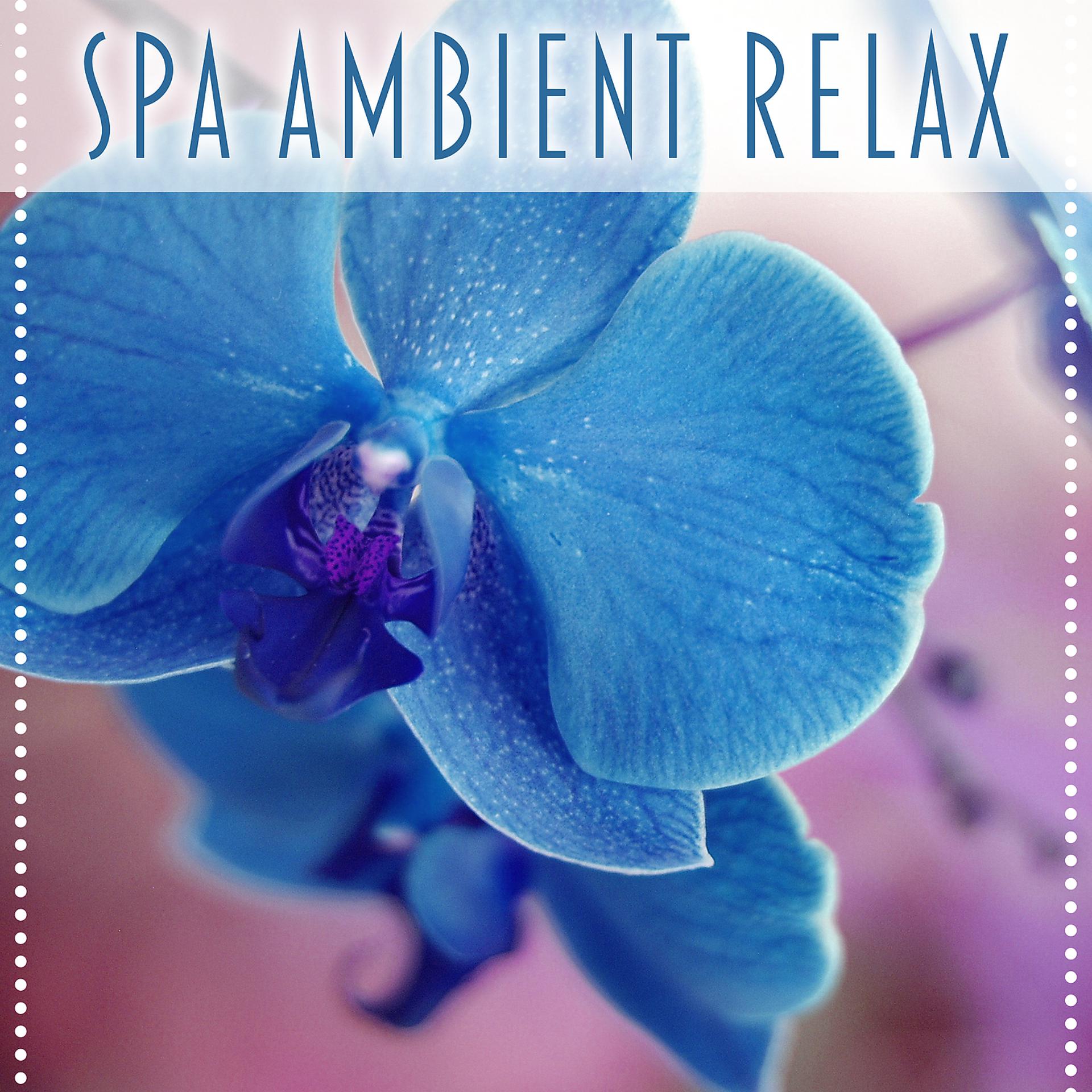 Постер альбома Spa Ambient Relax – Beauty Center, Ambient Music, Serenity New Age Music for Massage, Healing Nature Sounds