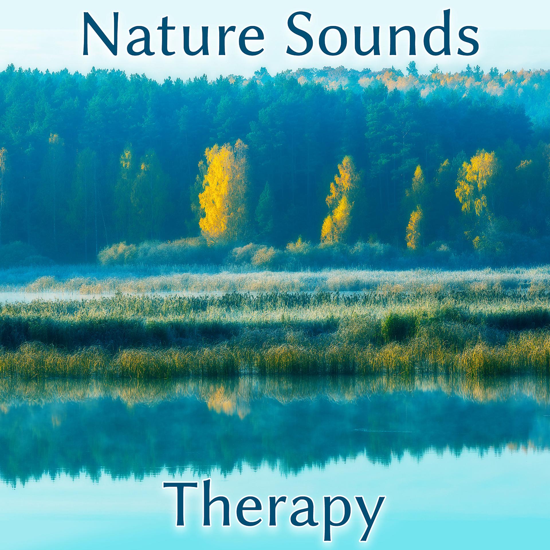 Постер альбома Nature Sounds Therapy – Stress Relief, Calm Down, Pure Mind, Peaceful Soul, Healing Nature Sounds