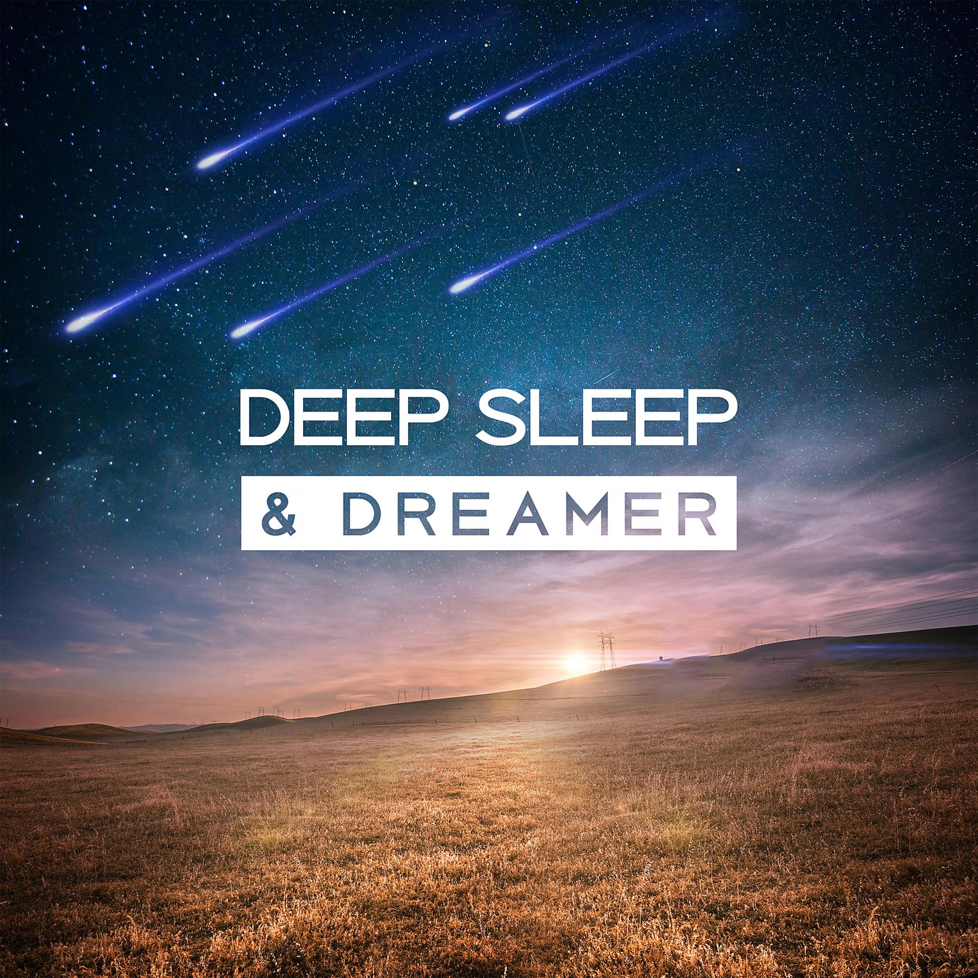 Постер альбома Deep Sleep & Dreamer – Pleasant Melodies for Sleep, Rest and Relaxation, Natural Cure Insomnia