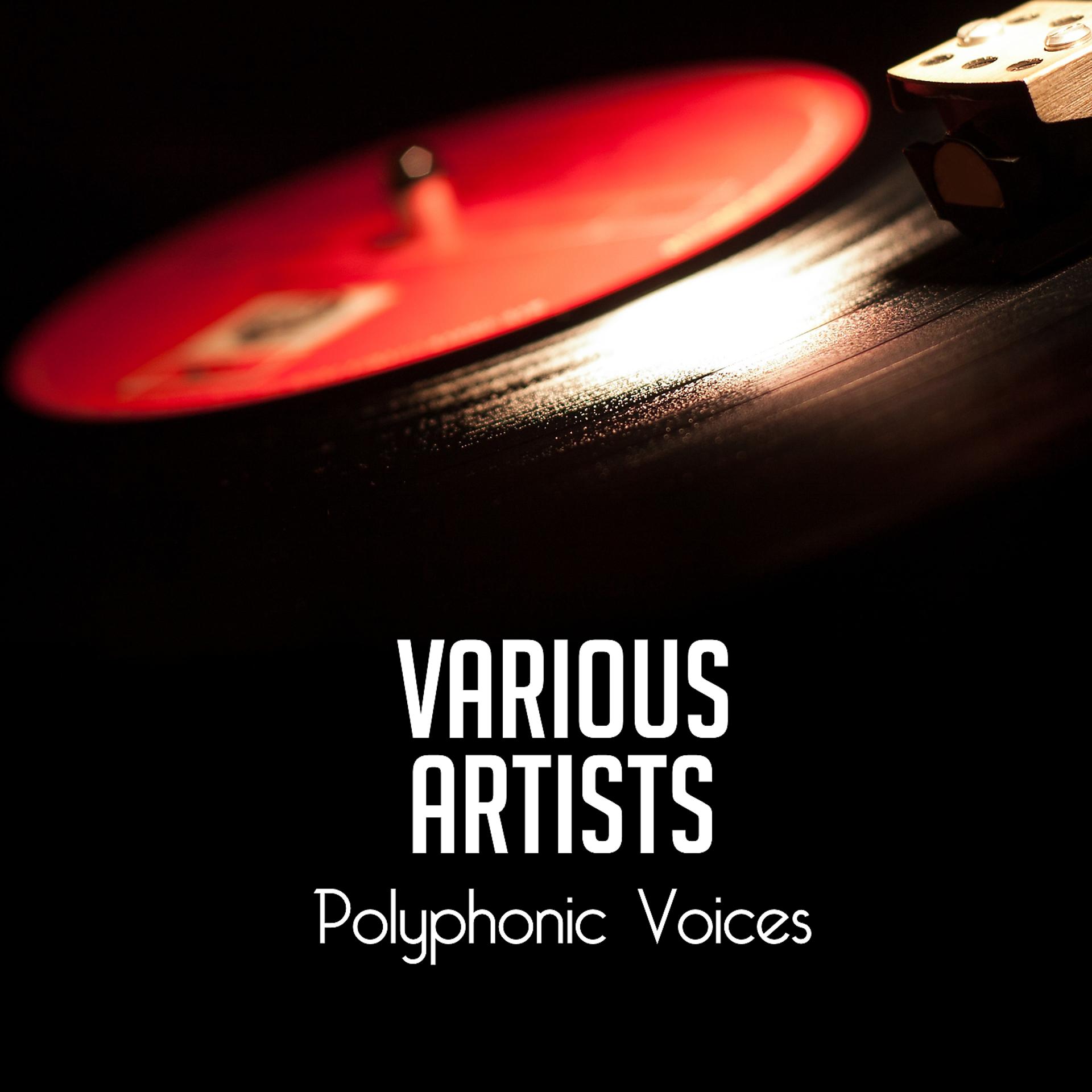 Постер альбома Polyphonic Voices