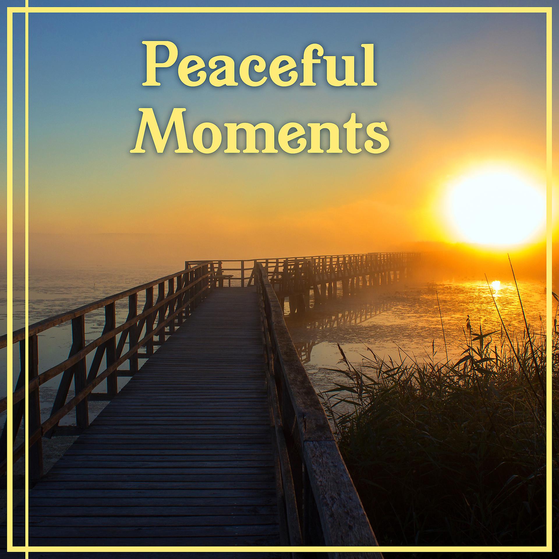 Постер альбома Peaceful Moments: Meditation & Relaxation Healing Music & Pure Massage & Yoga