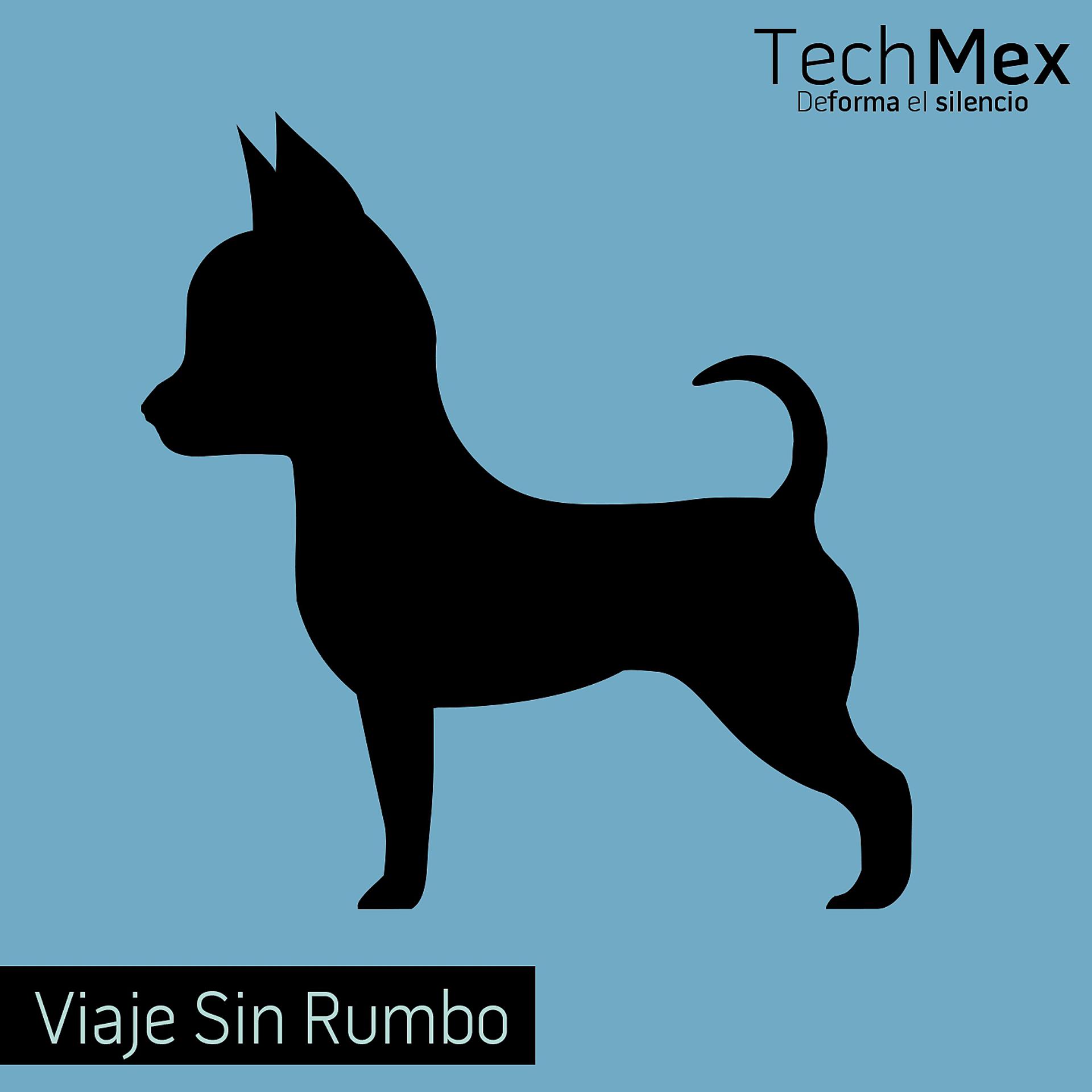 Постер альбома Viaje Sin Rumbo
