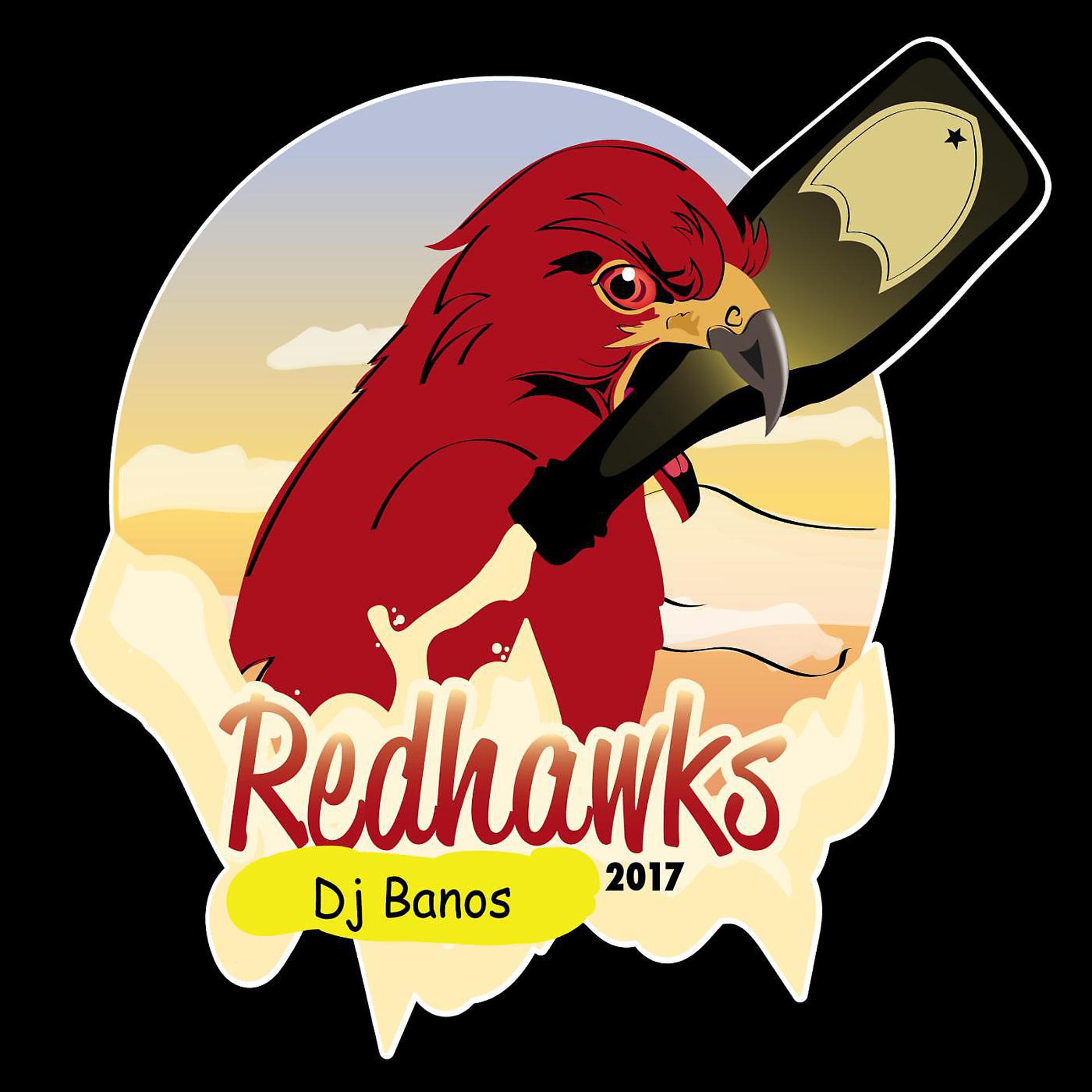 Постер альбома Redhawks 2017