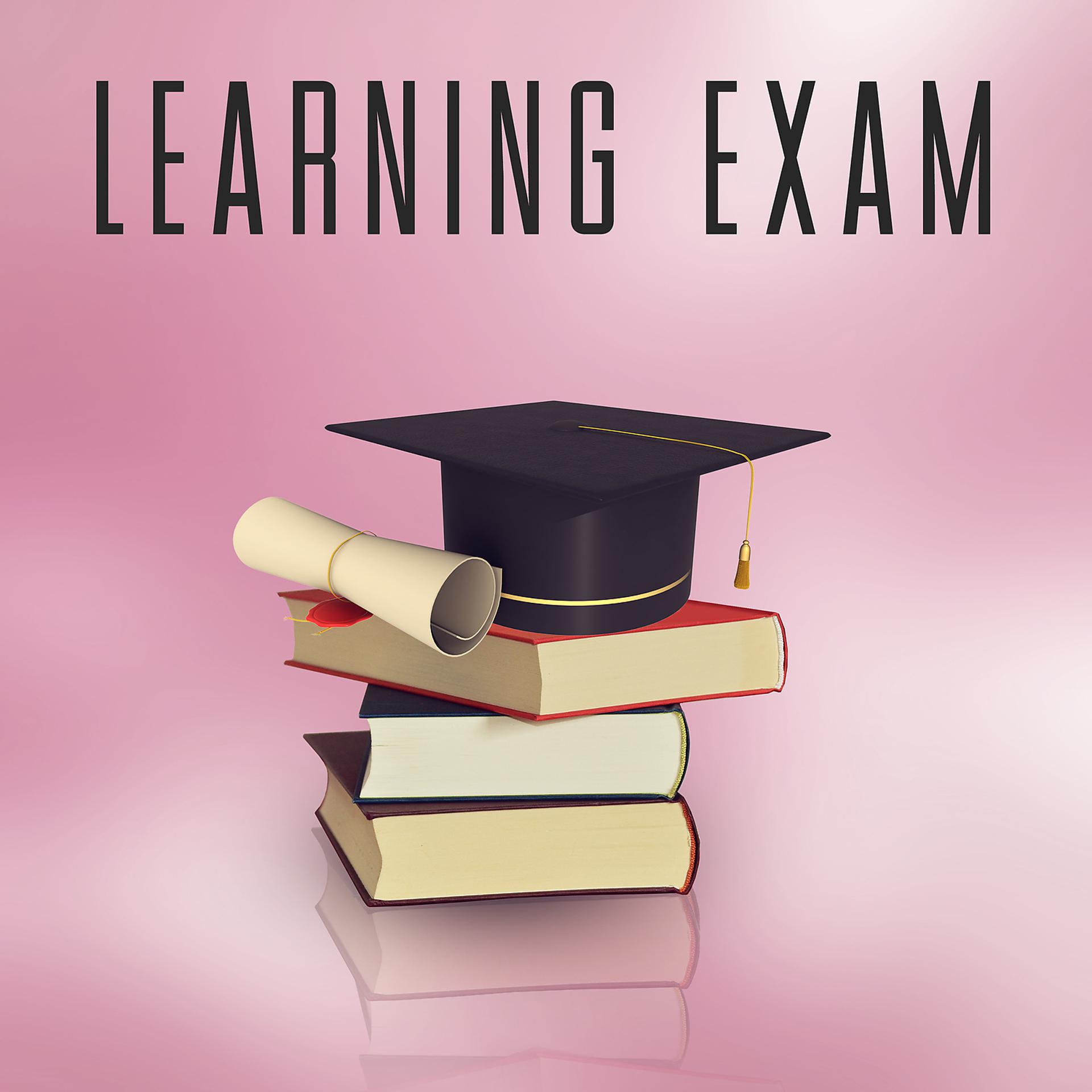 Постер альбома Learning Exam - Best to Focus, Cool Music for Science, Fantastic Moments of Relaxation Brain, Time Gentle Waves Brain, Unleash Your Thoughts