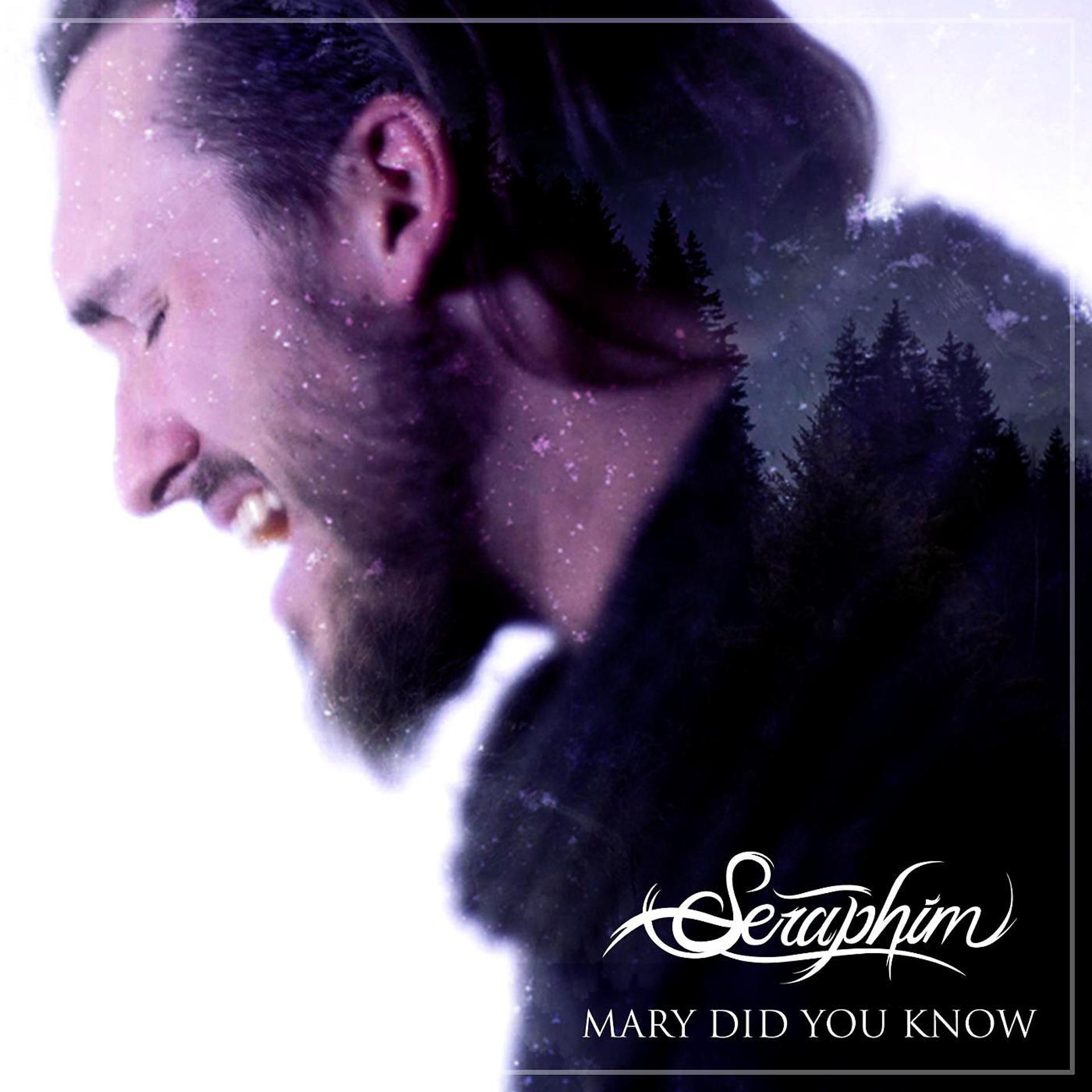 Постер альбома Mary, Did You Know? (feat. Emily Torres)