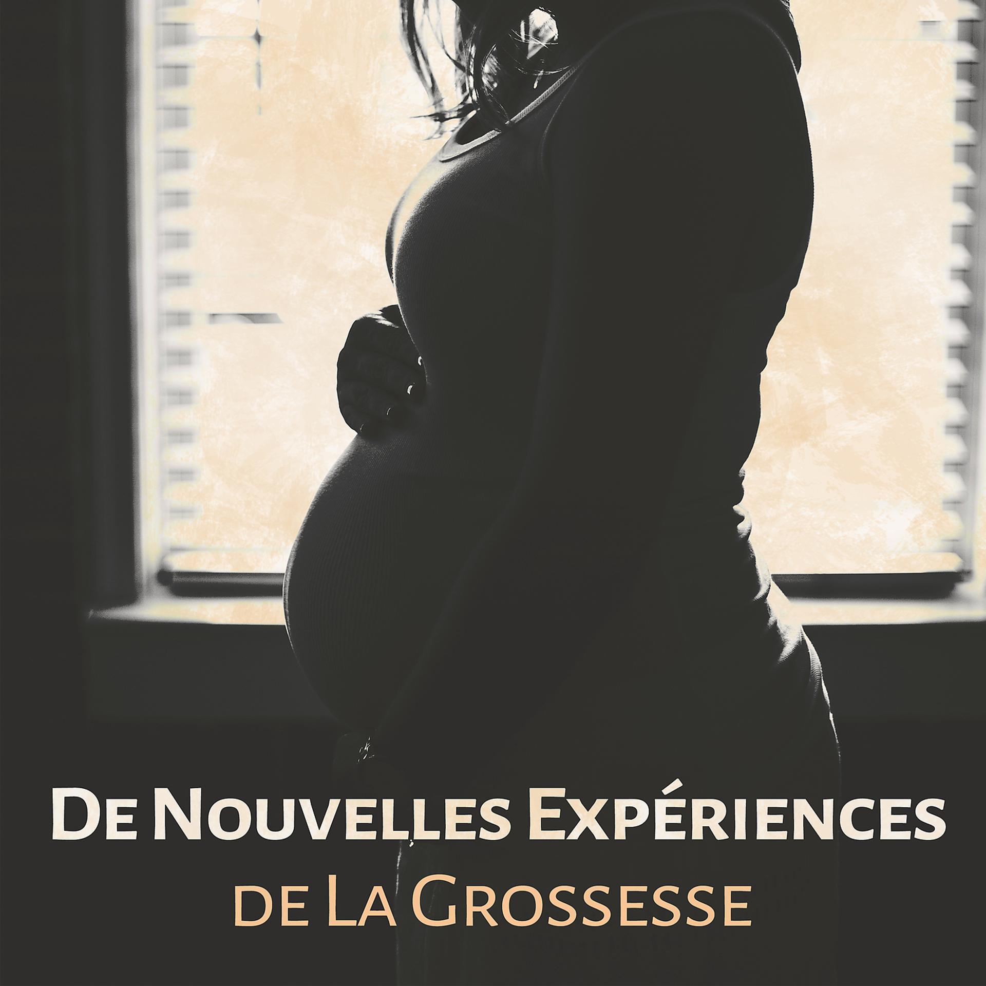 Постер альбома De Nouvelles Expériences de La Grossesse - Temps Tranquility pour L'avenir Mère Miracle Conception, L'amour Maternel, Silence est Important, Tunes Cool Sédatifs