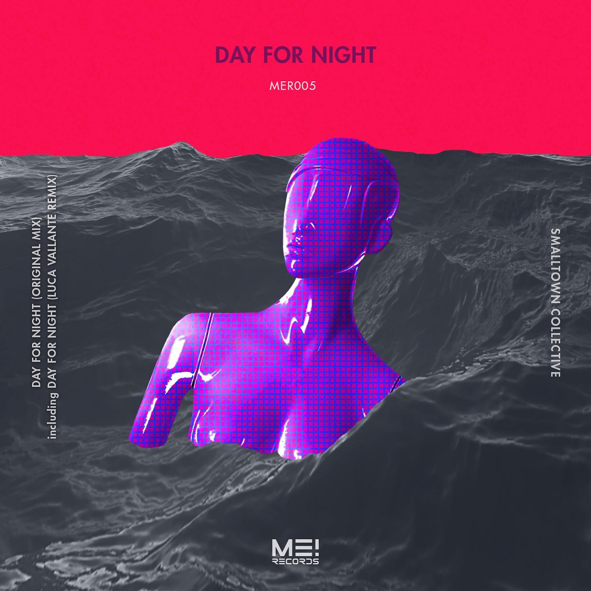 Постер альбома Day for Night