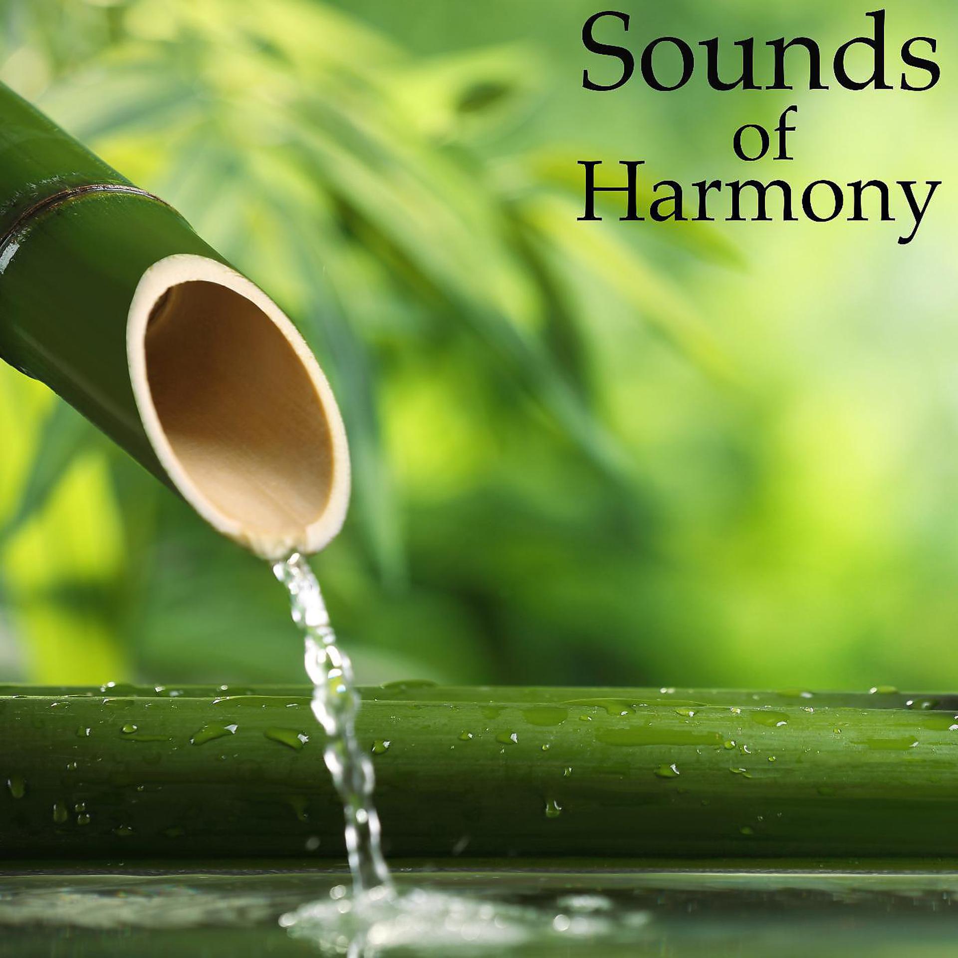 Постер альбома Sounds of Harmony