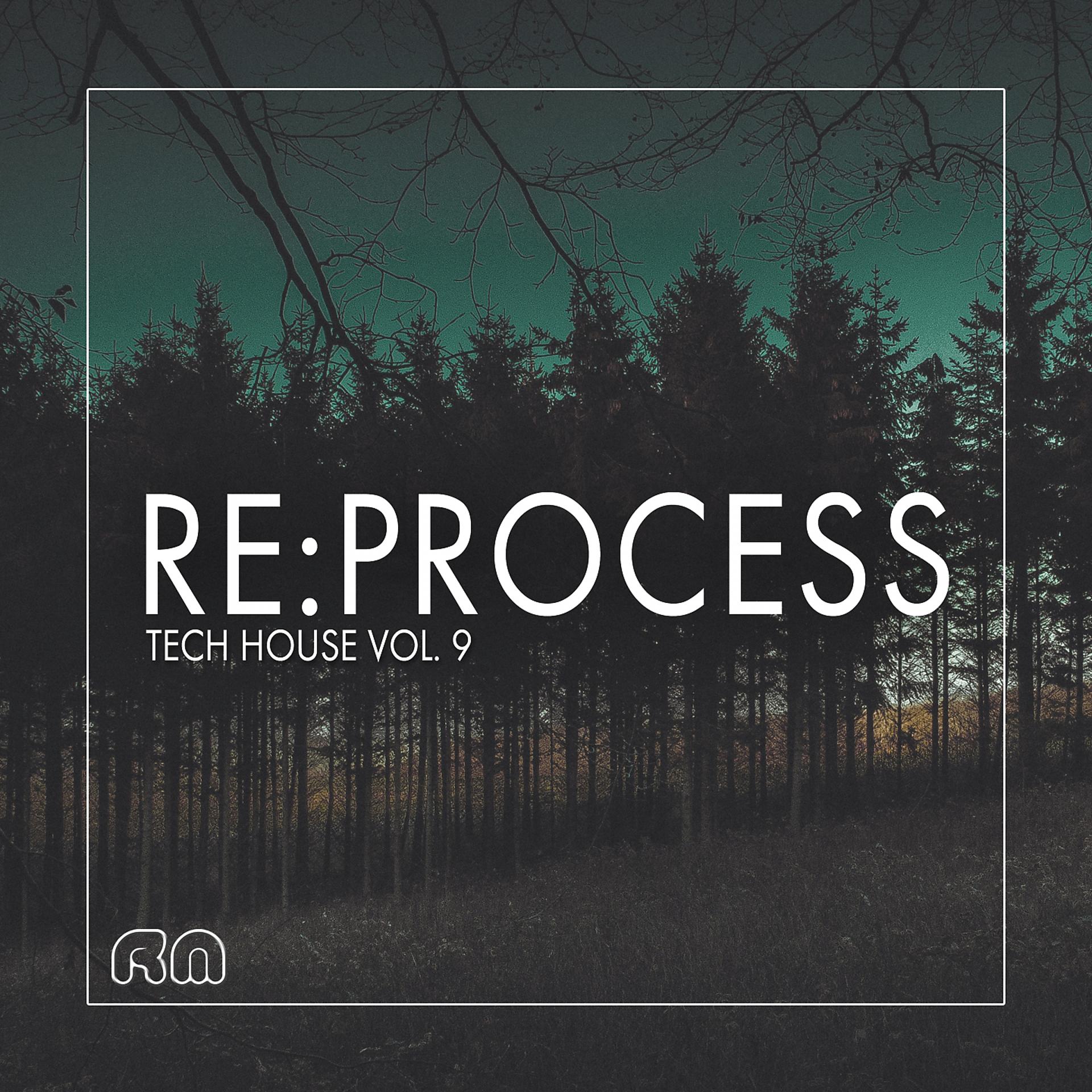 Постер альбома Re:Process - Tech House, Vol. 9