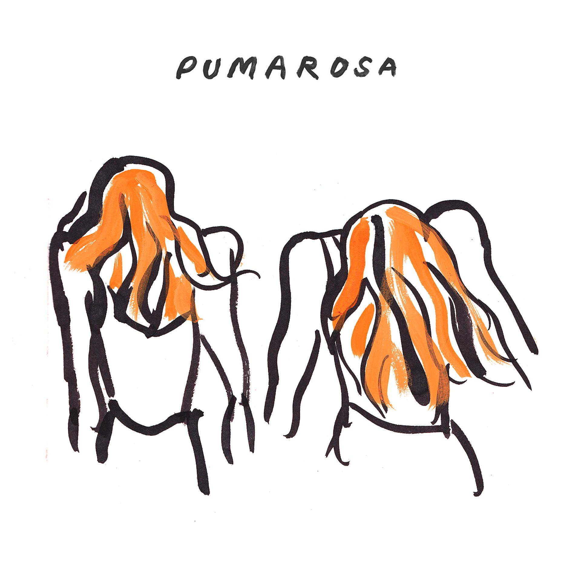 Постер альбома Pumarosa