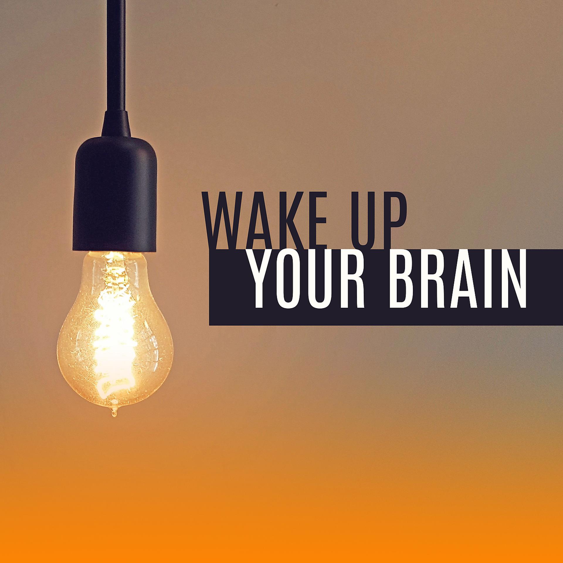 Постер альбома Wake up Your Brain - Better Learning, Faster Saving, Upcoming Session, Wonderful Enlightenment, Focus on Teaching, Every Time is Good for Experience