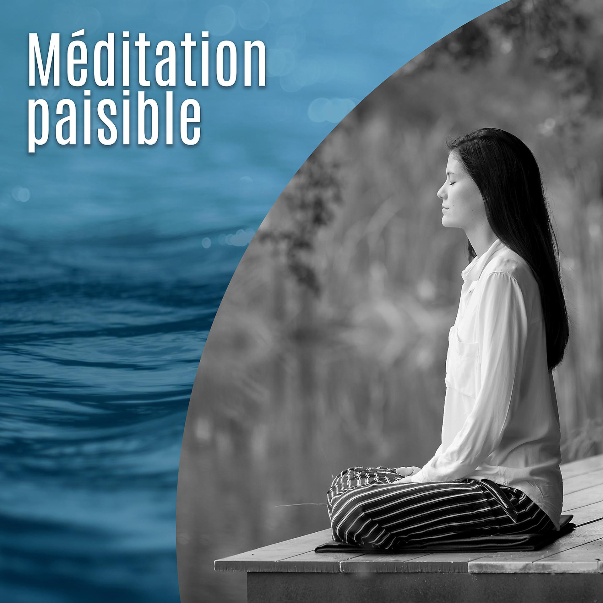 Постер альбома Méditation paisible - Musique pour le yoga, La profondeur de champ