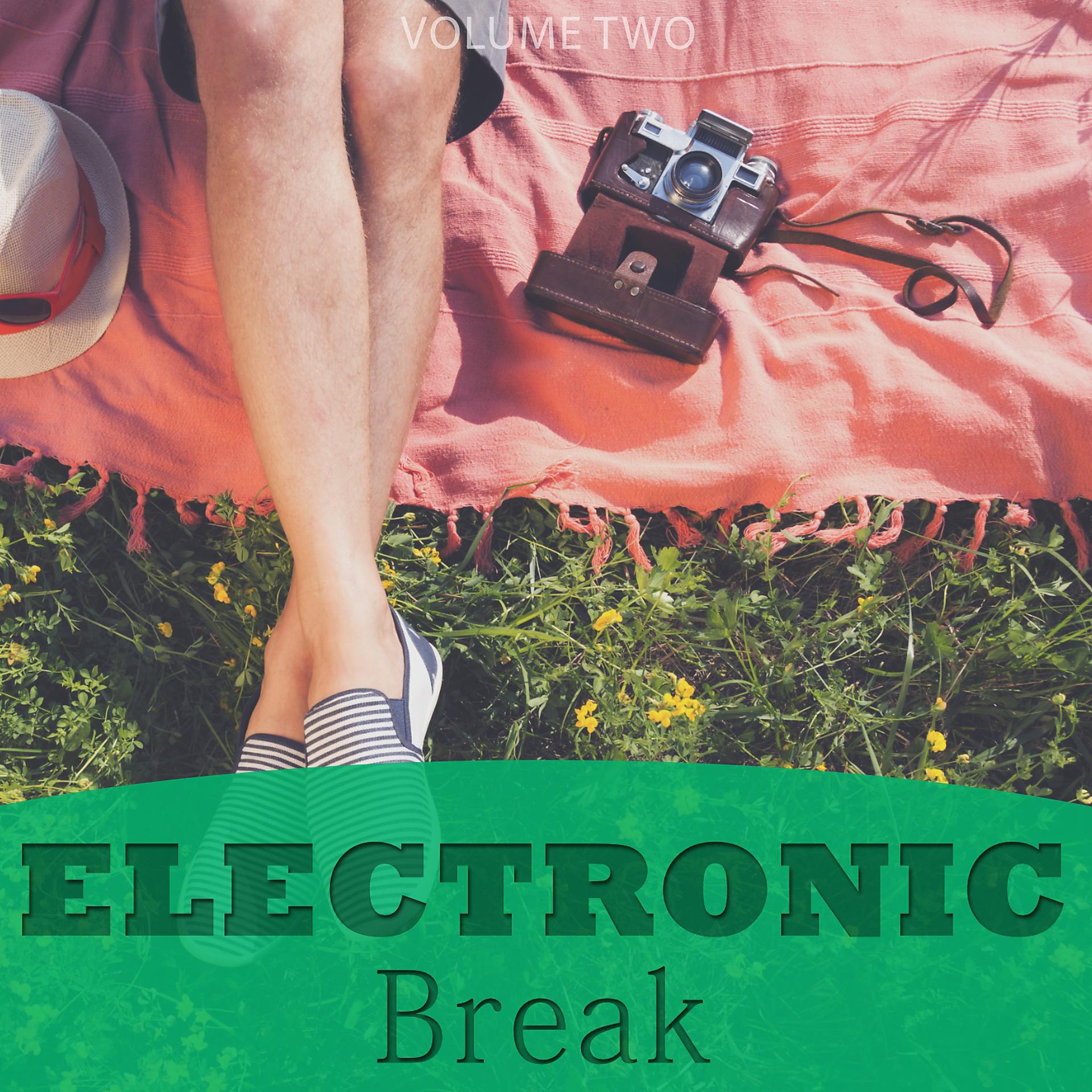 Постер альбома Electronic Break, Vol. 2