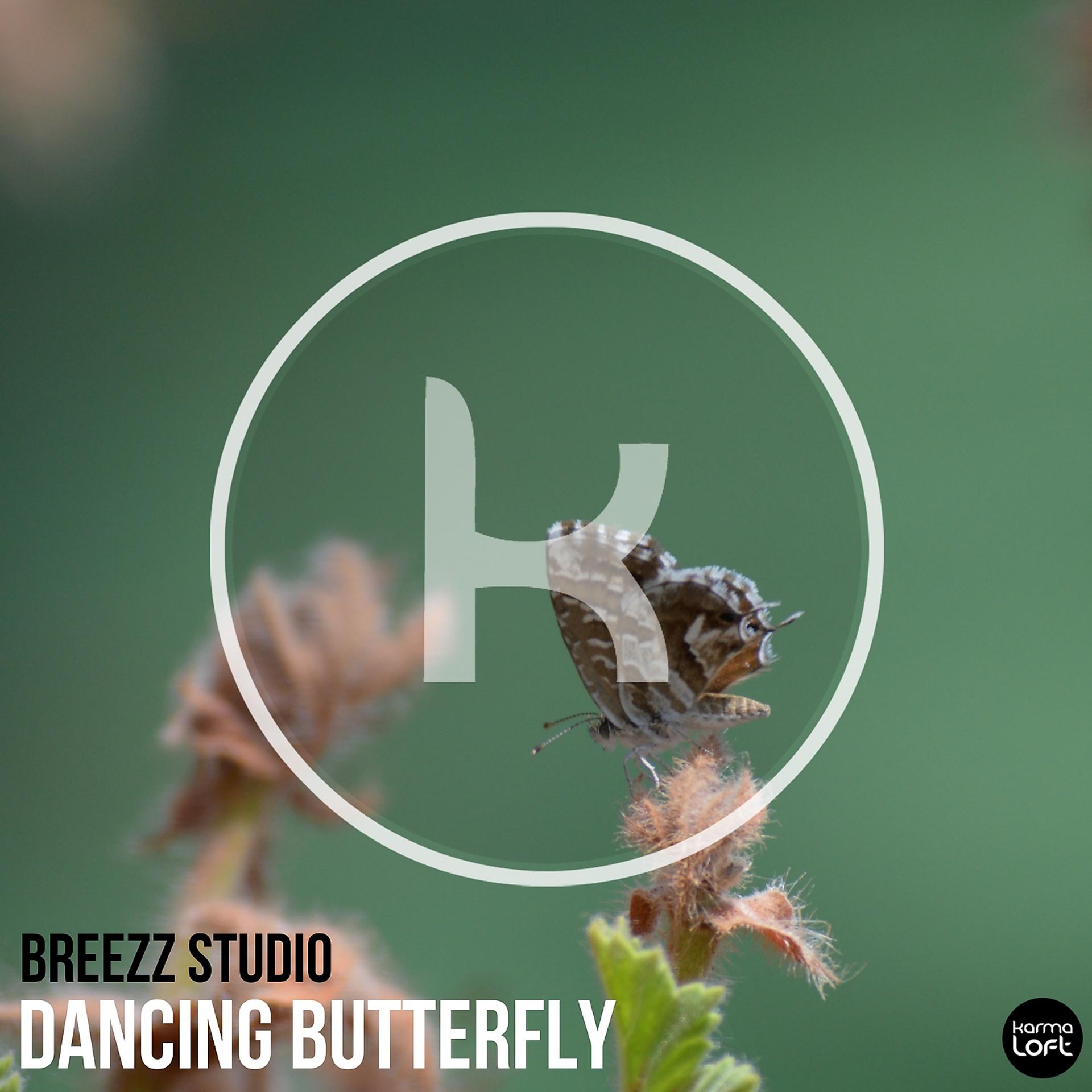 Постер альбома Dancing Butterfly