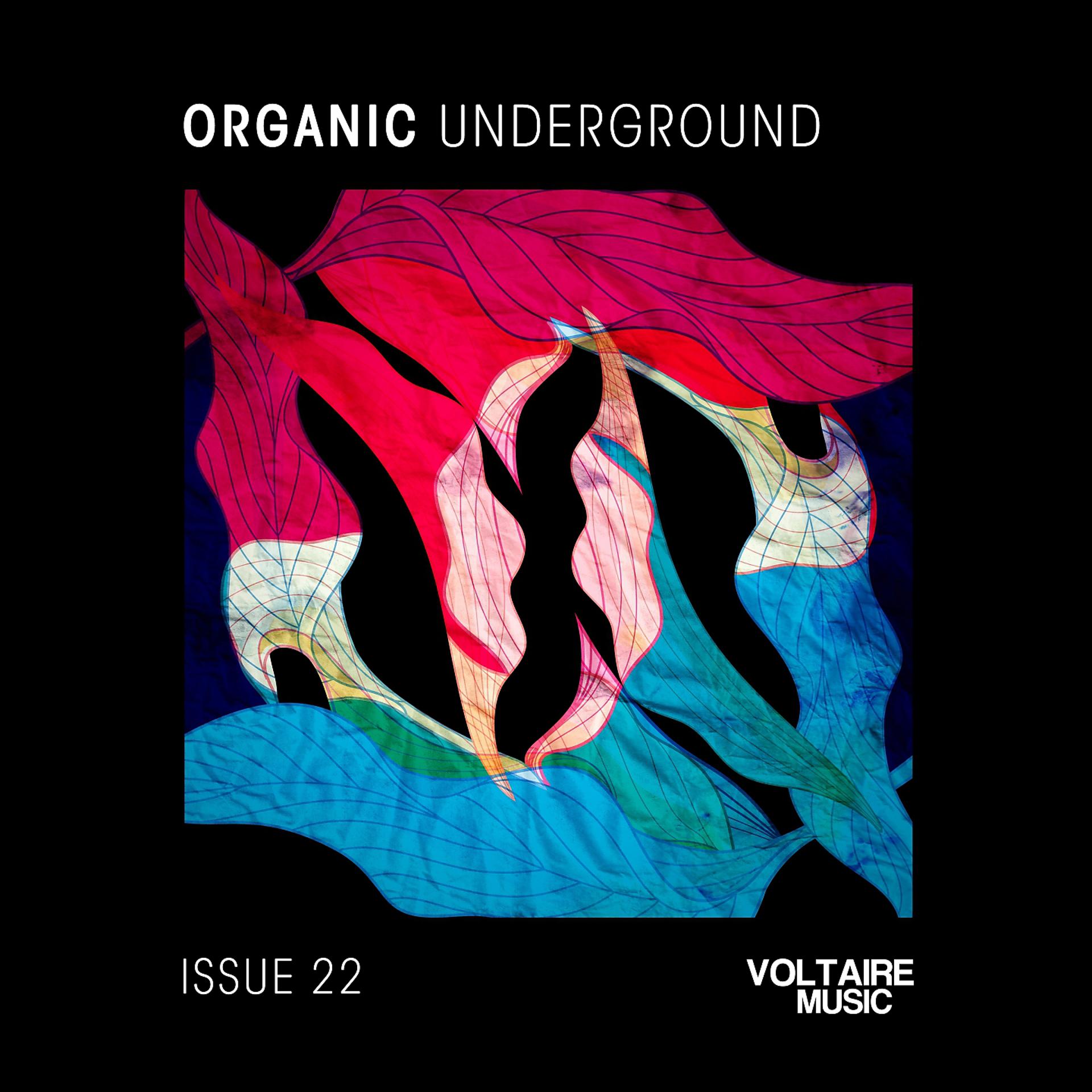 Постер альбома Organic Underground Issue 22