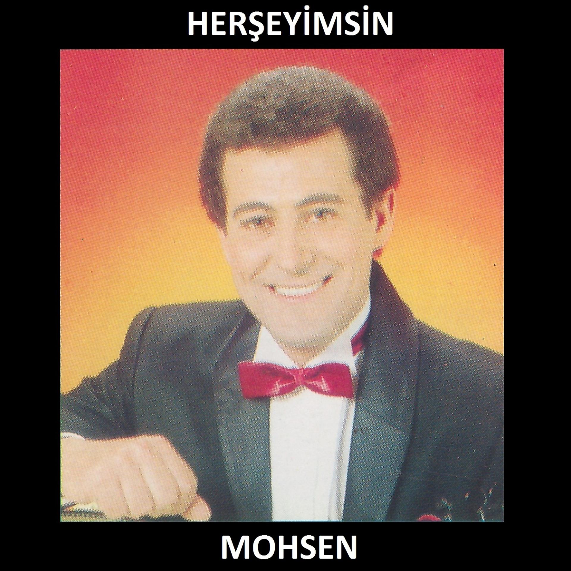 Постер альбома Herşeyimsin