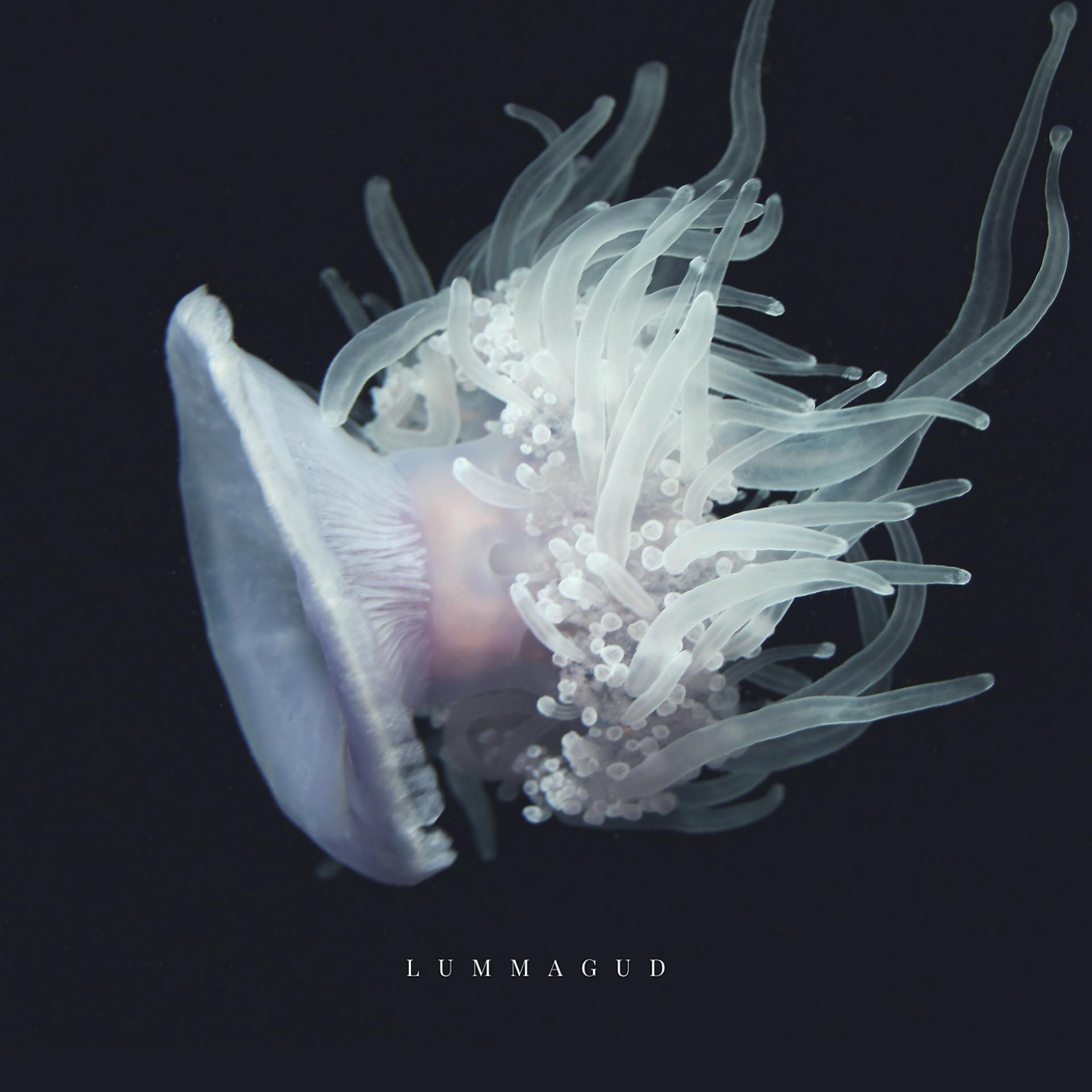Постер альбома Lummagud
