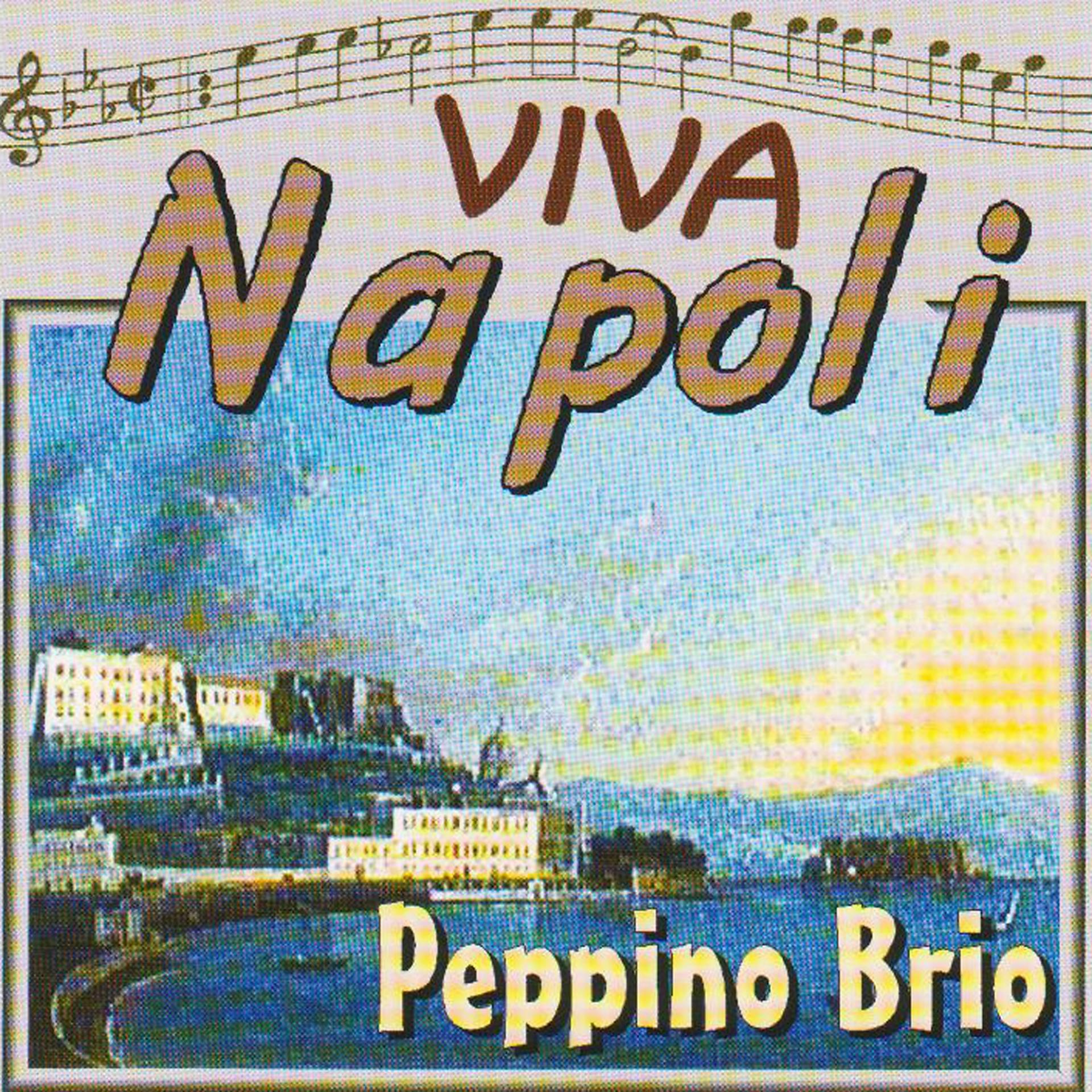 Постер альбома Peppino Brio Viva Napoli - Guapparia Catarì