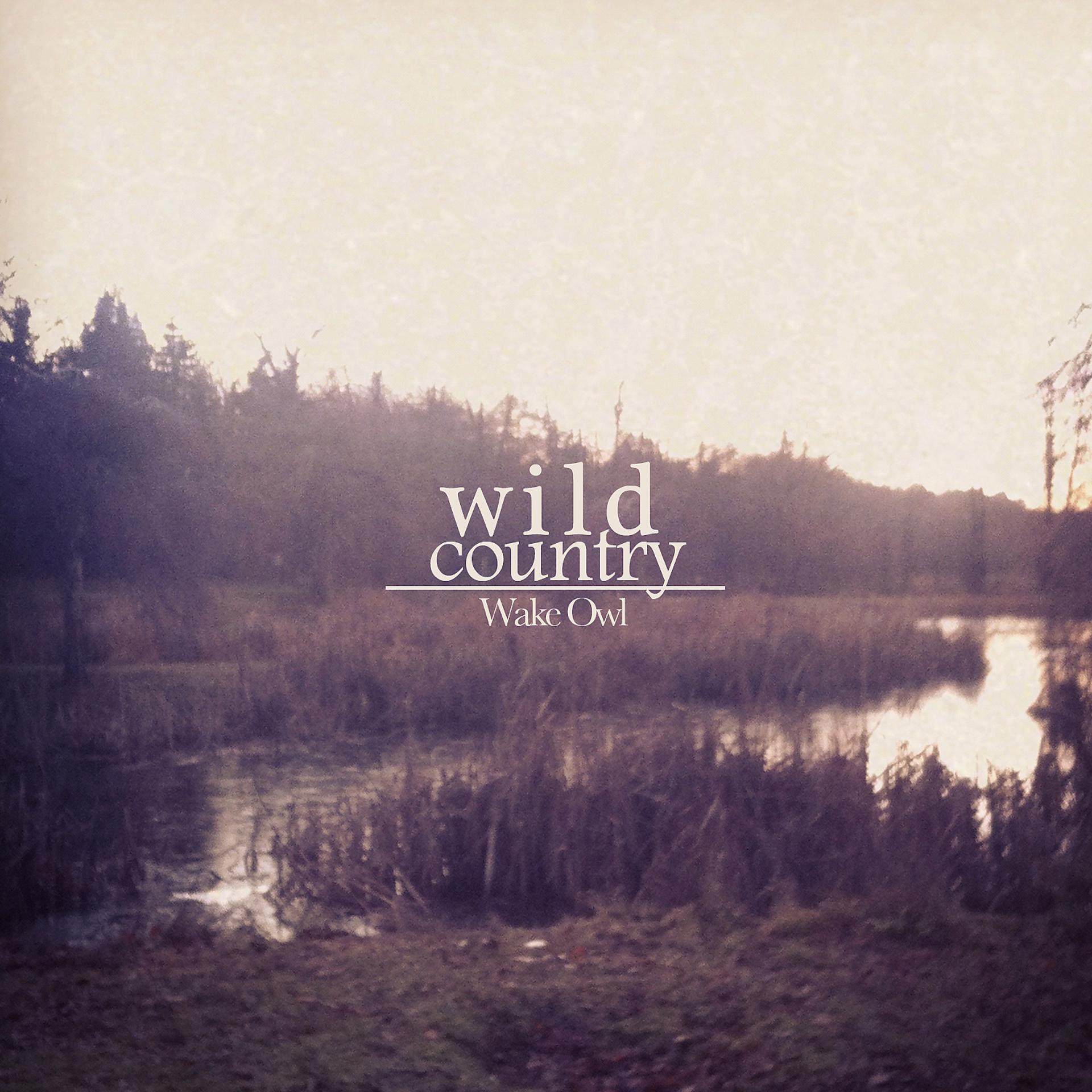 Постер альбома Wild Country EP