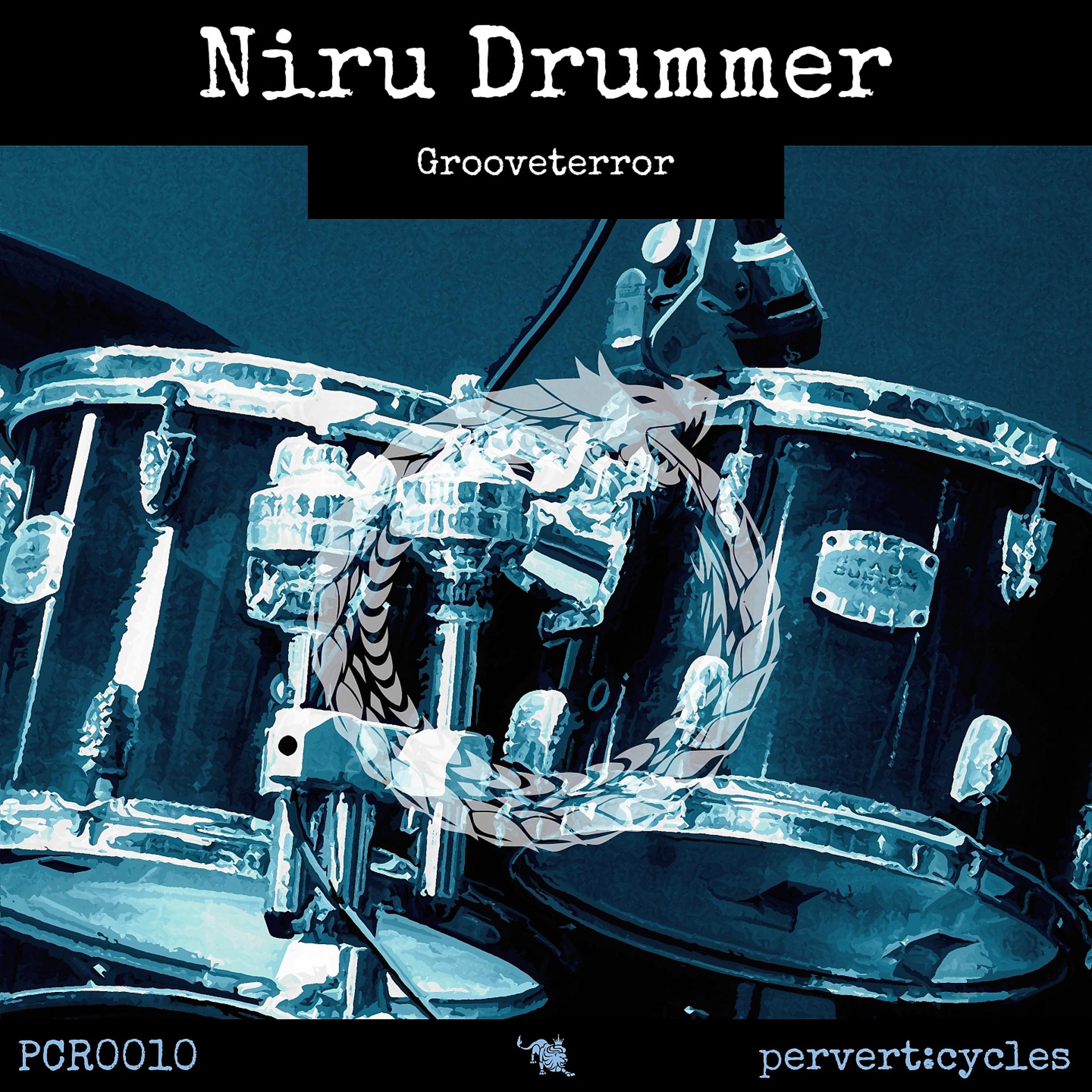 Постер альбома Niru Drummer