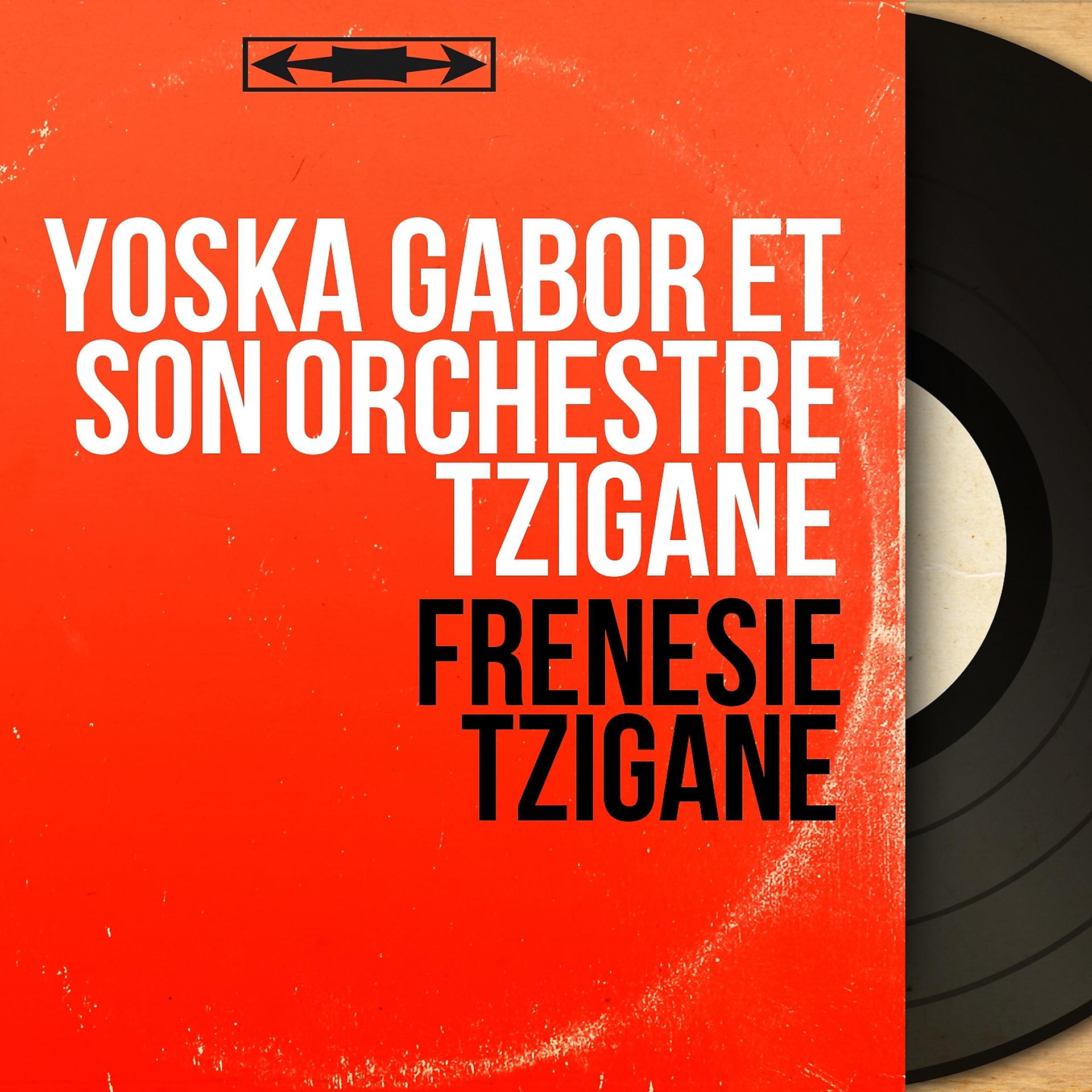 Постер альбома Frénésie tzigane
