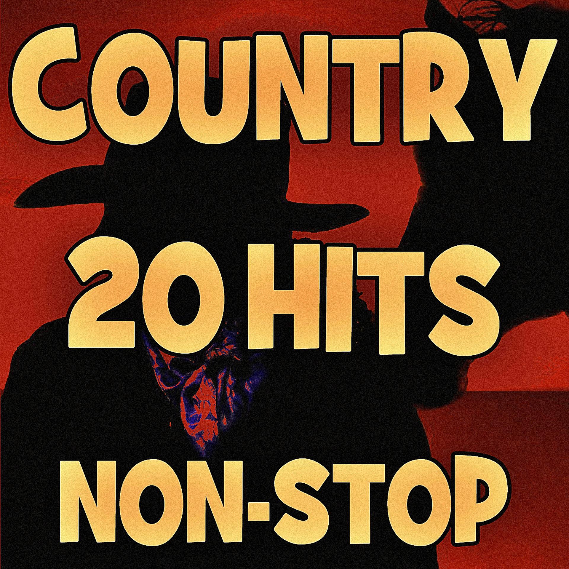 Постер альбома Country 20 Hits